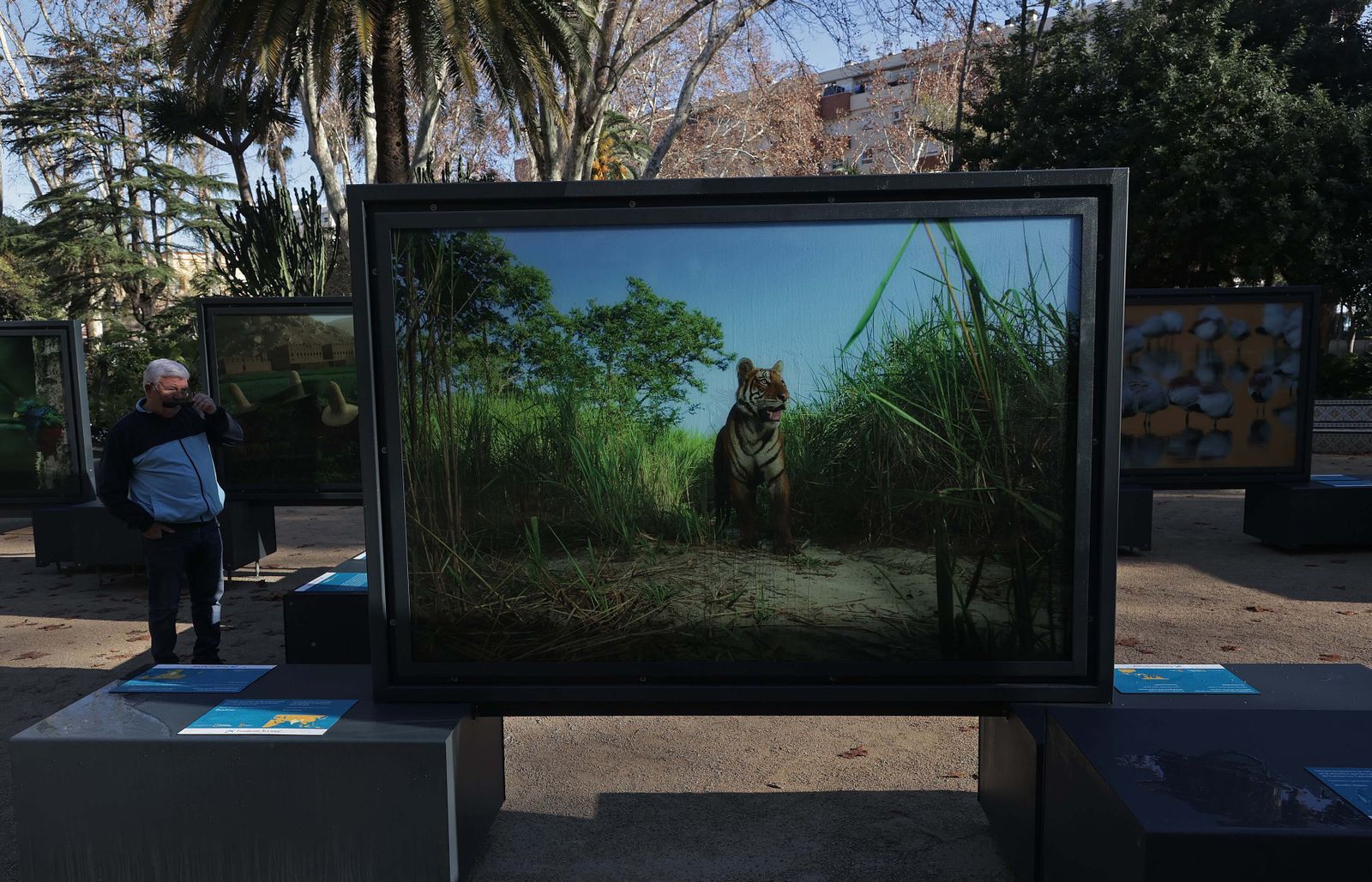 La exposición 'Colores del Mundo' del parque María Cristina de Algeciras, en imágenes