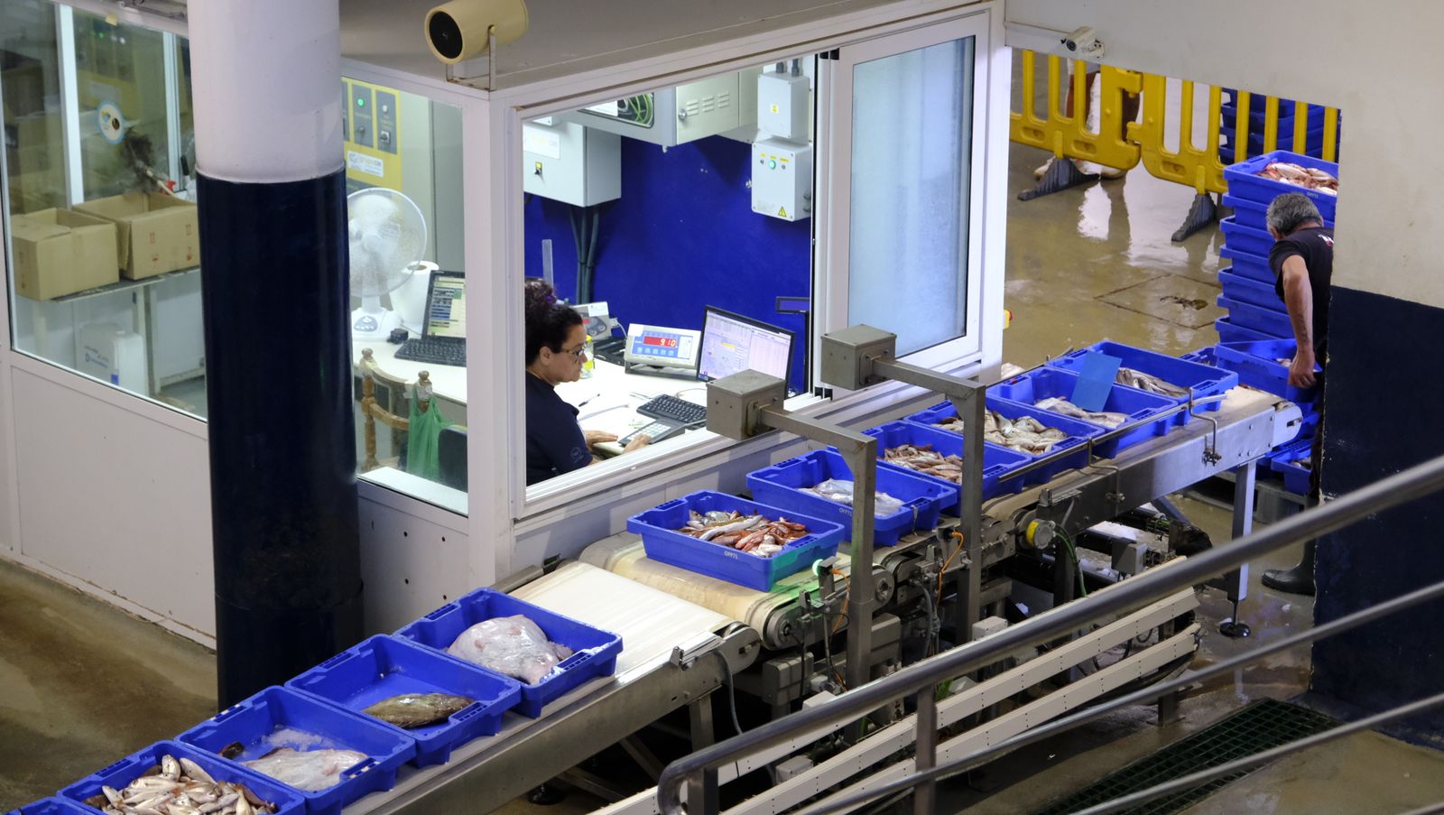 Lonja del Puerto Pesquero de Almería.