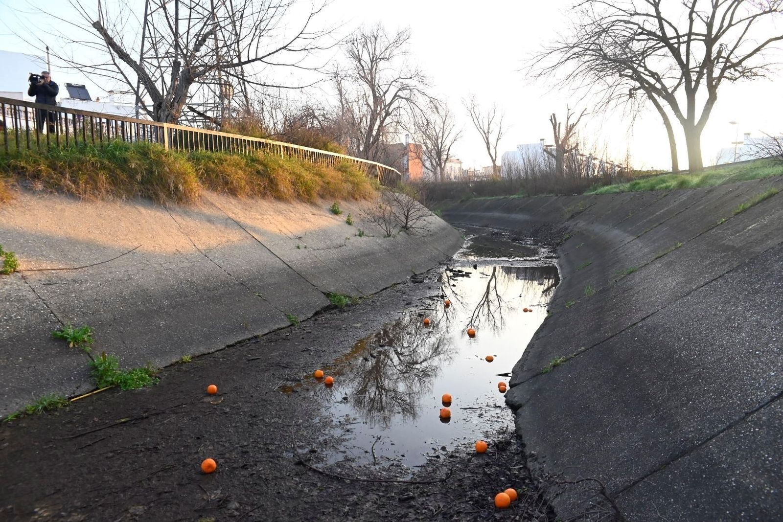 Vecinos de San Rafael de la Albaida protestan por la falta de limpieza y mantenimiento del canal del Guadalmellato en Córdoba, en imágenes