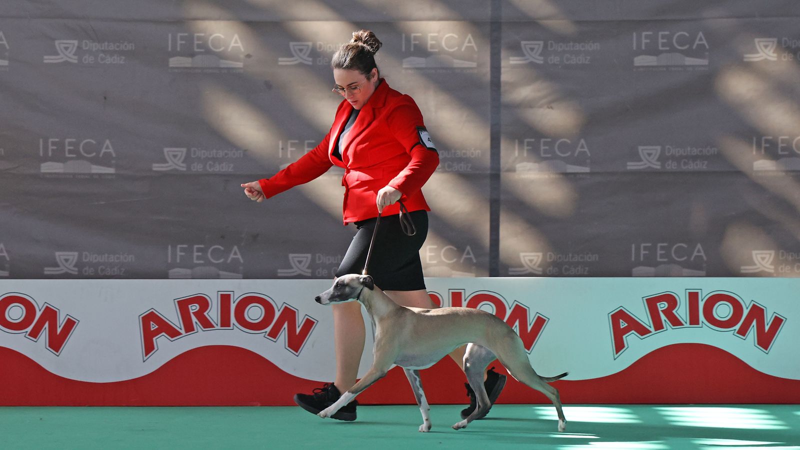 Imágenes de la 49ª edición de la Exposición Nacional Canina y la 25ª edición de la Exposición Internacional Canina en IFECA Jerez