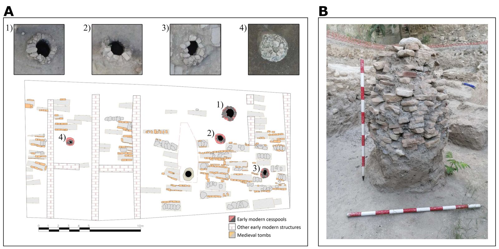 Estudio paleoparasitológico de la Universidad de Granada y la Universidad de Cambridge