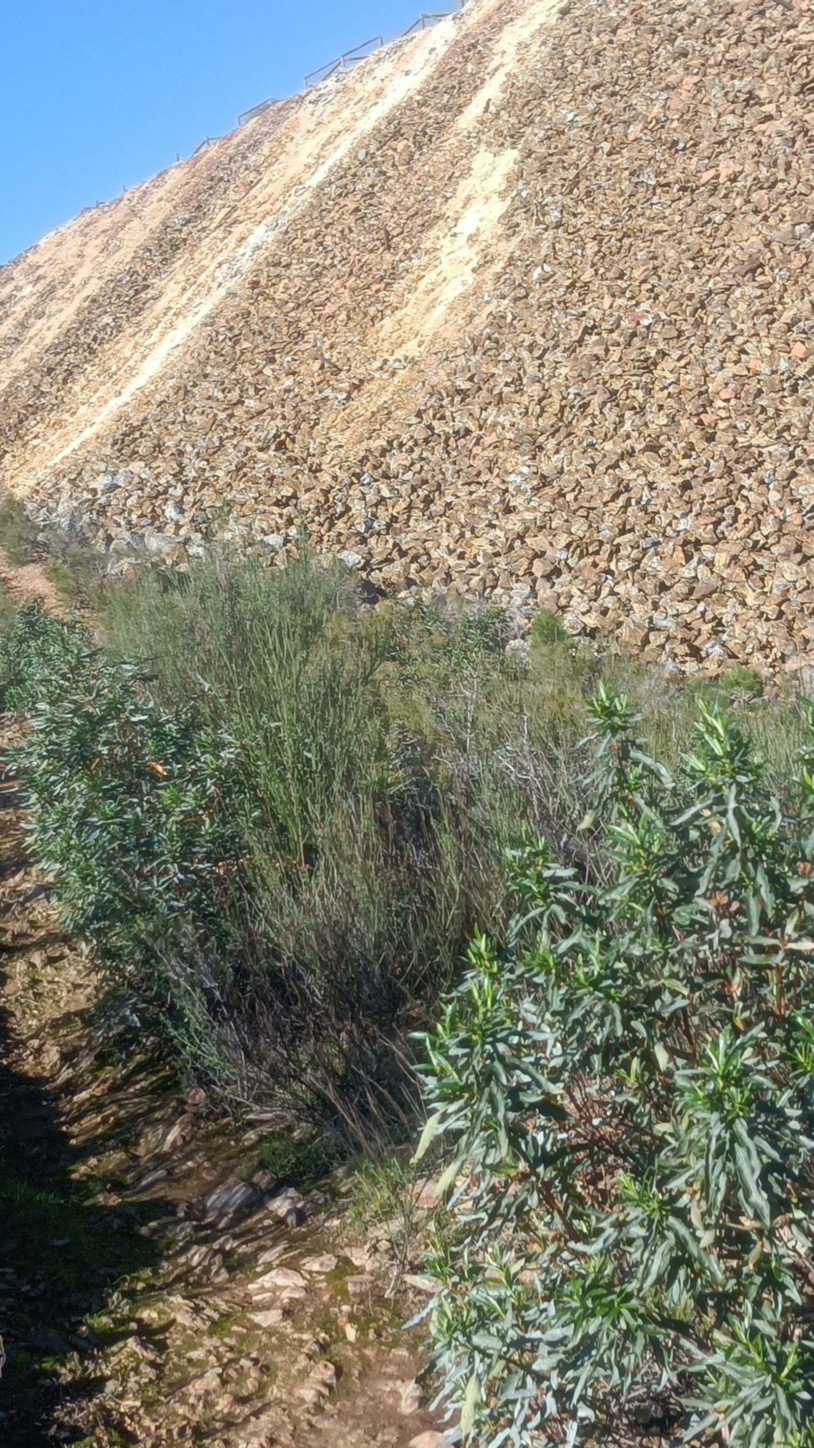 Debemos seguir esta trocha junto a la escombrera de la cantera.