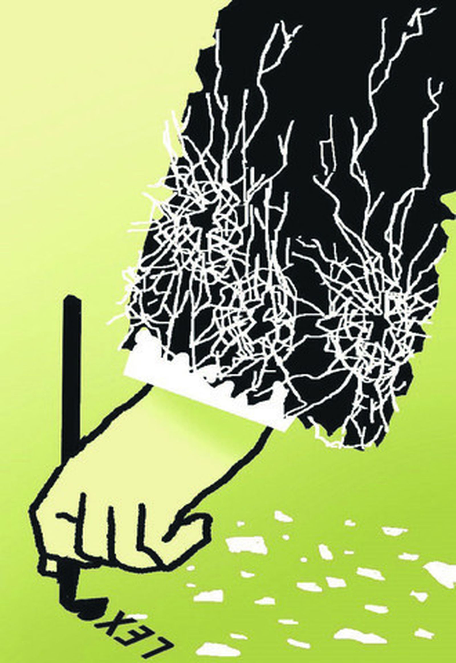 La amnistía y la realidad