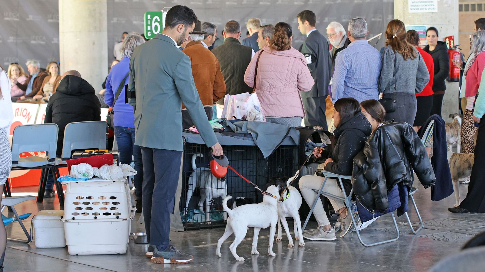 Imágenes de la 49ª edición de la Exposición Nacional Canina y la 25ª edición de la Exposición Internacional Canina en IFECA Jerez