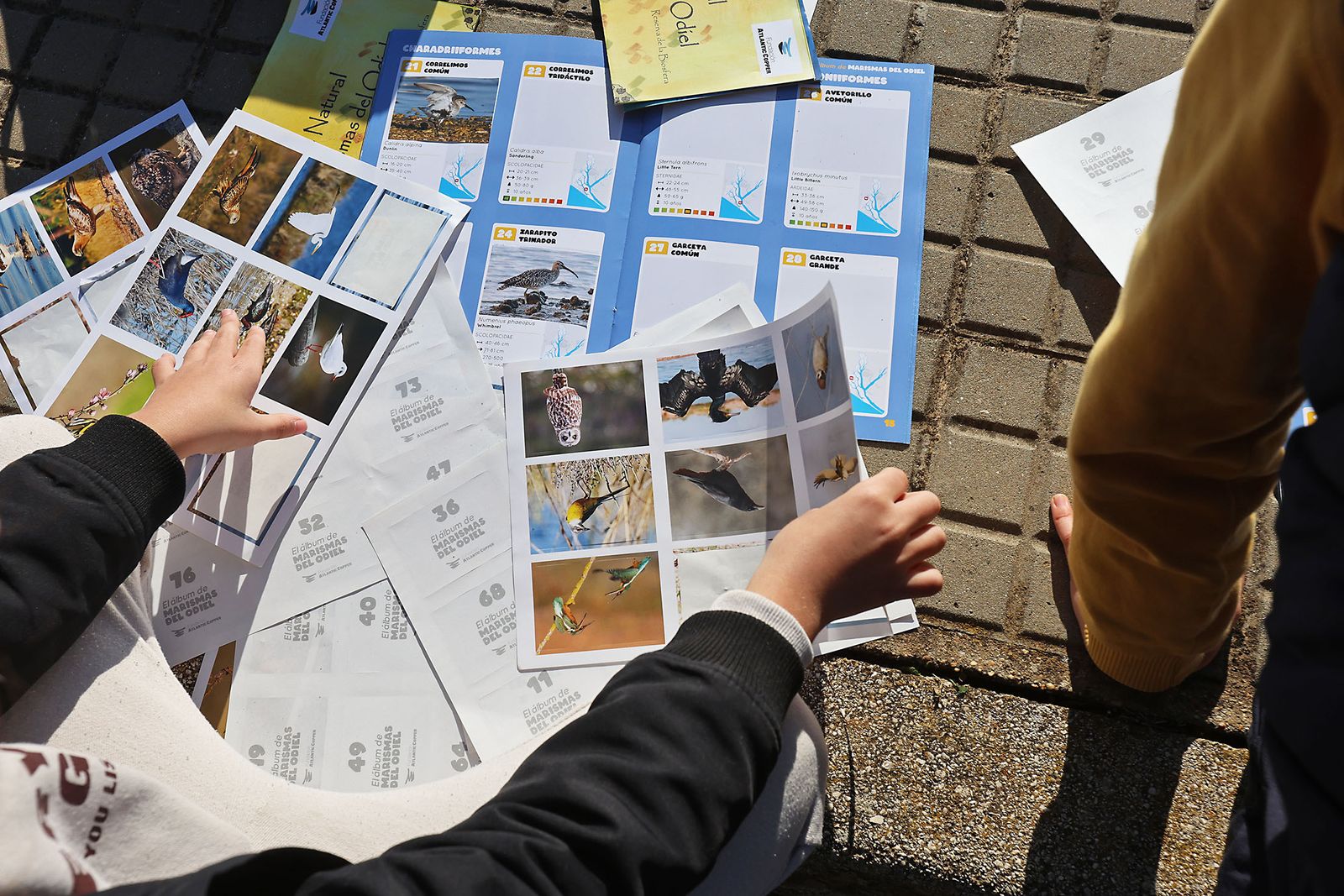 Imágenes de la visita al programa de divulgación ambiental 'Mi Marisma, Mi Escuela', de la Fundación Atlantic Copper.en Marismas del Odiel