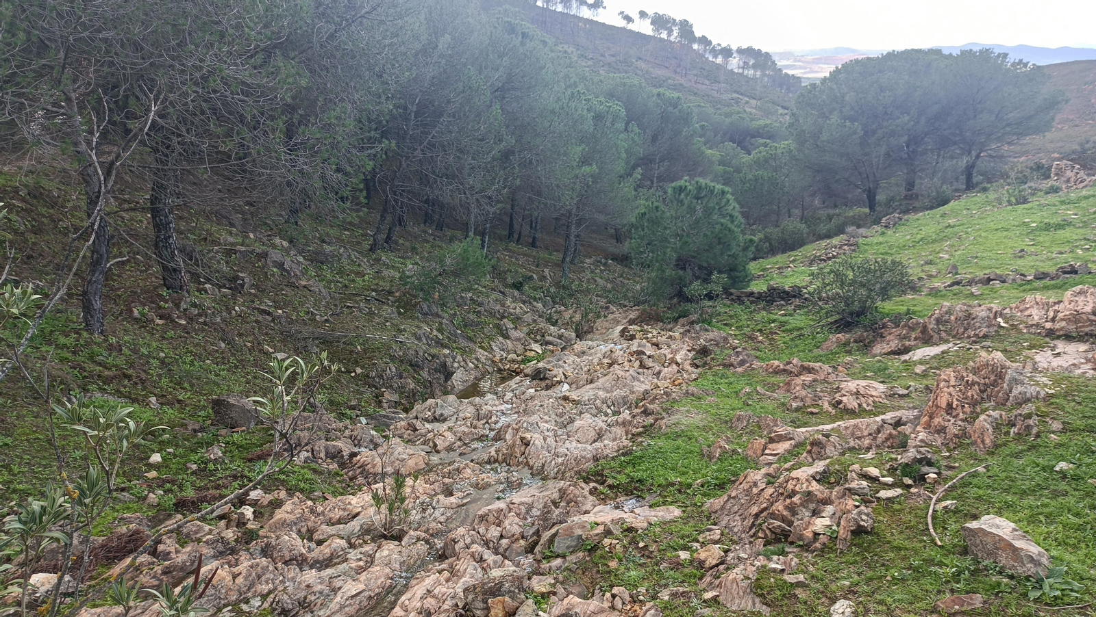 Cruzamos esta torrentera para seguir subiendo.