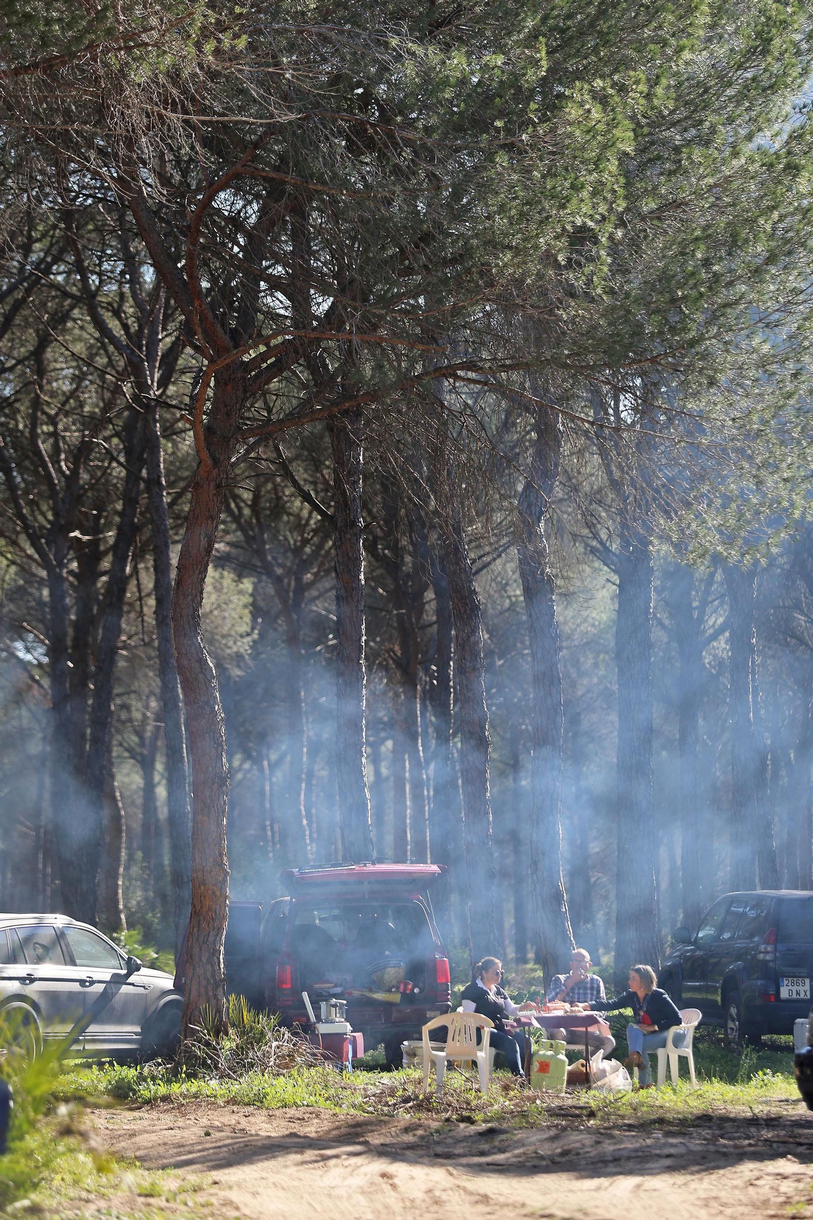 Candelaria 2024: Imágenes de la multitudinaria convivencia en el Pastorcito