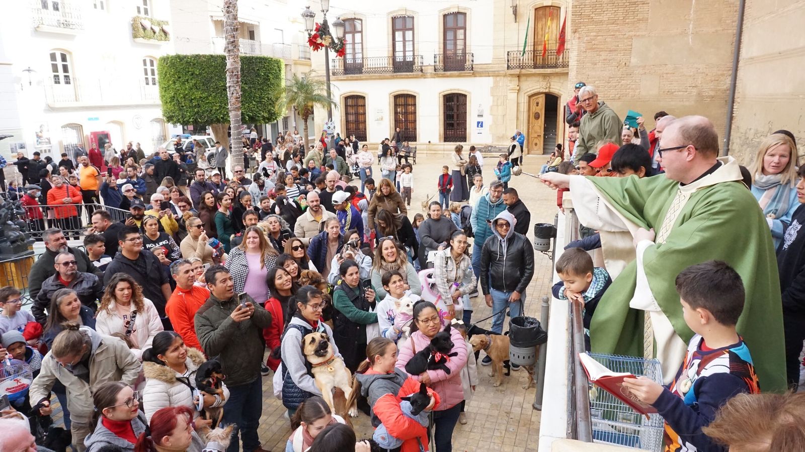 Bendición de los animales en la Plaza Mayor.