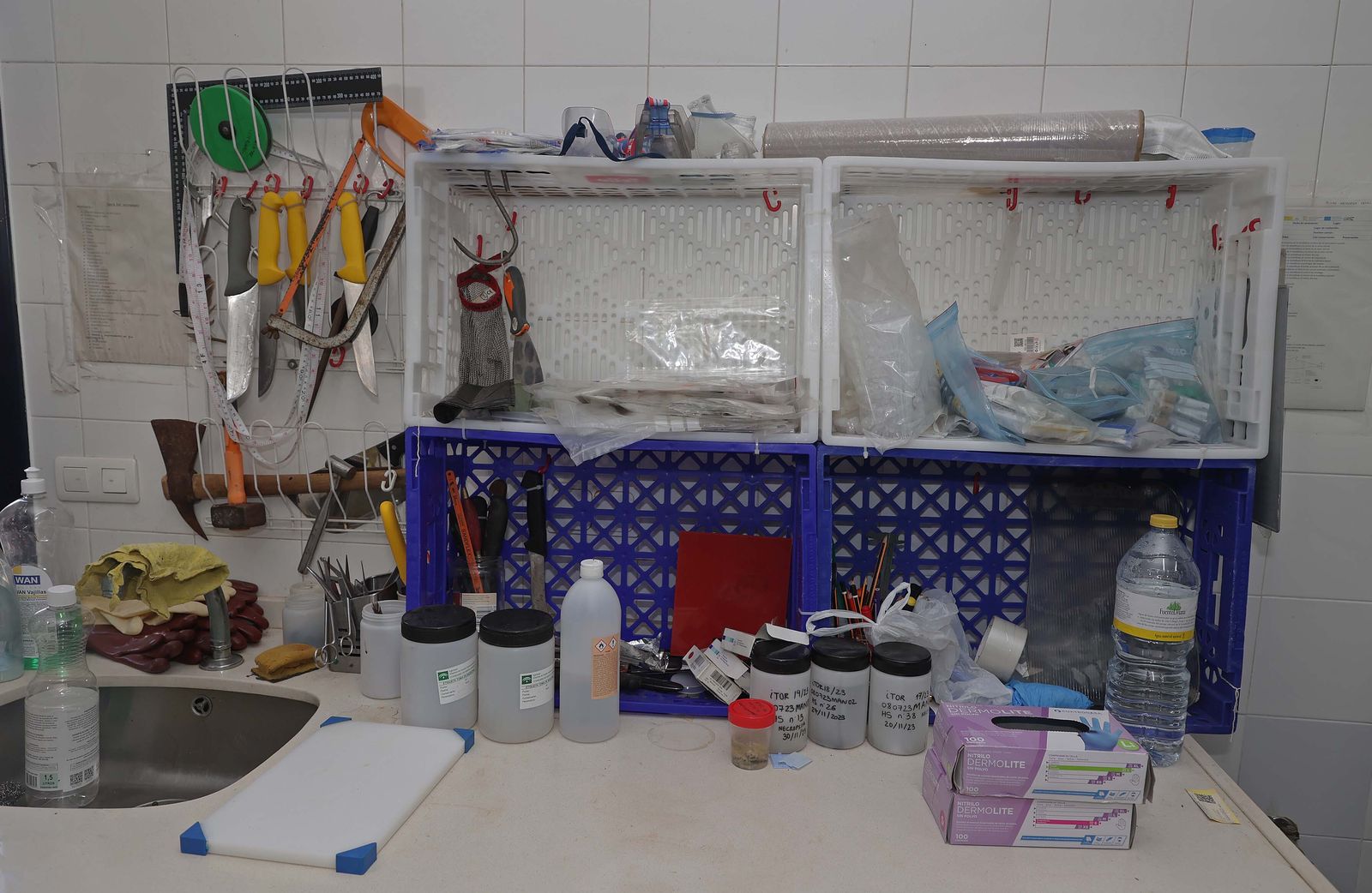 El Centro de Gestión del Medio Marino Andaluz (CEGMA) de Algeciras, en imágenes