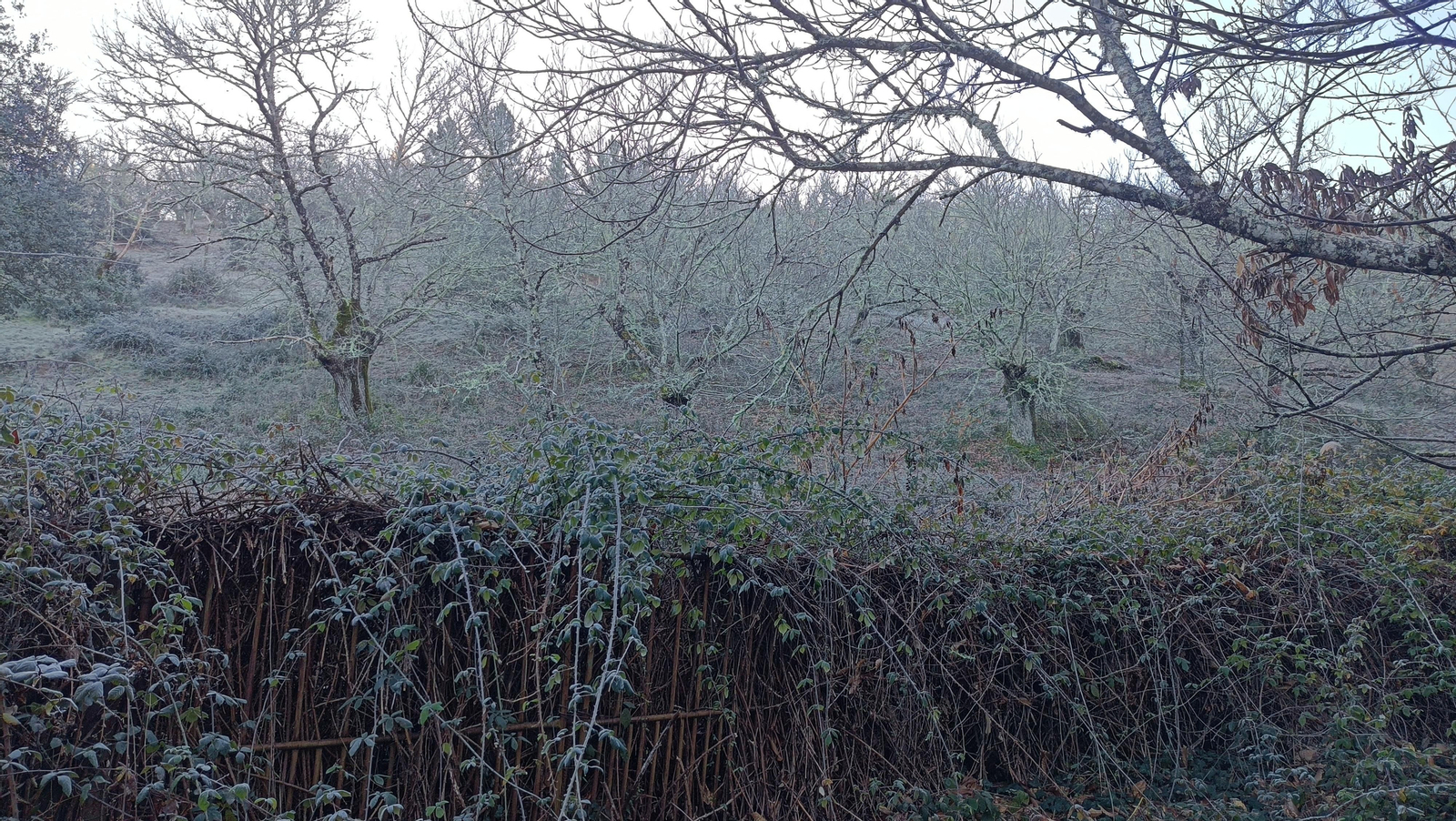 A nuestra izquierda tendremos la ladera de una montaña.