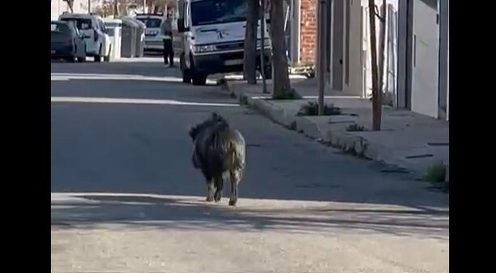 Extracto del vídeo de Antonio Tapiador.