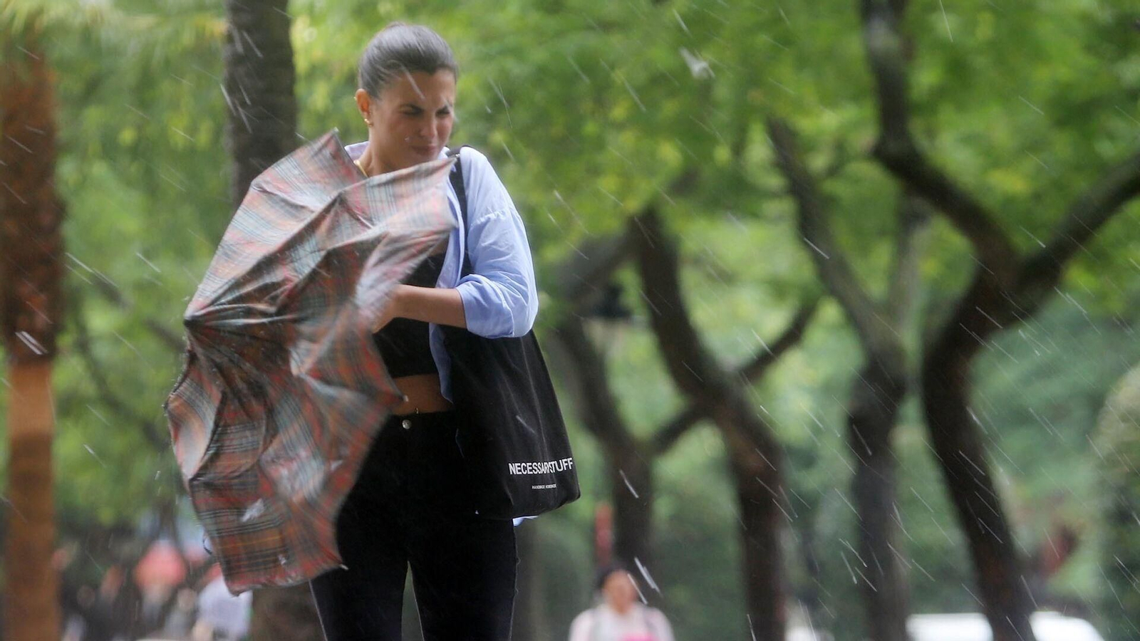 Imágenes del temporal de viento y lluvia en Huelva