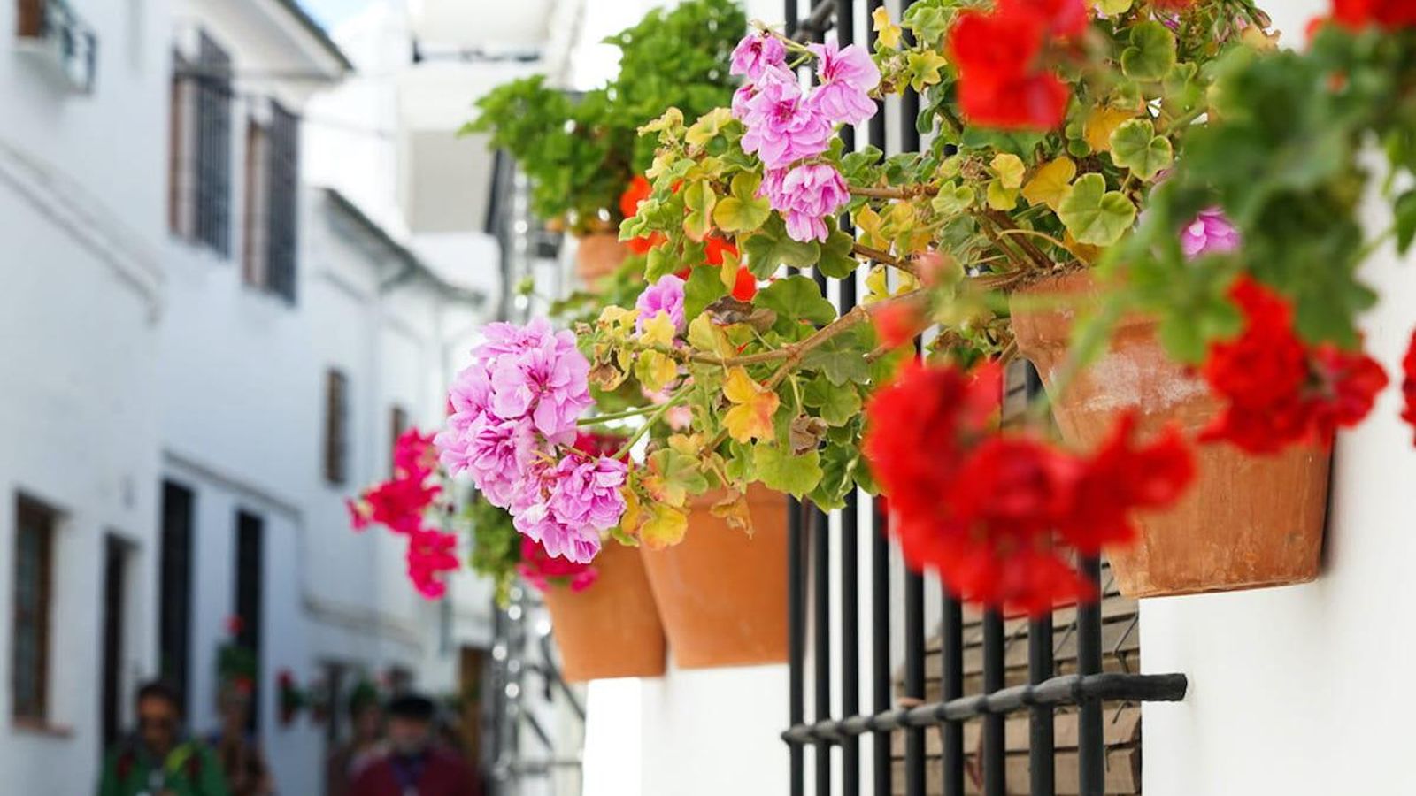 menu burger incompleto