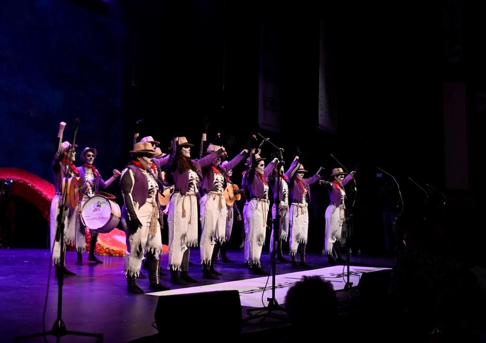 La segunda semifinal del Concurso de Agrupaciones del Carnaval de Córdoba, en imágenes