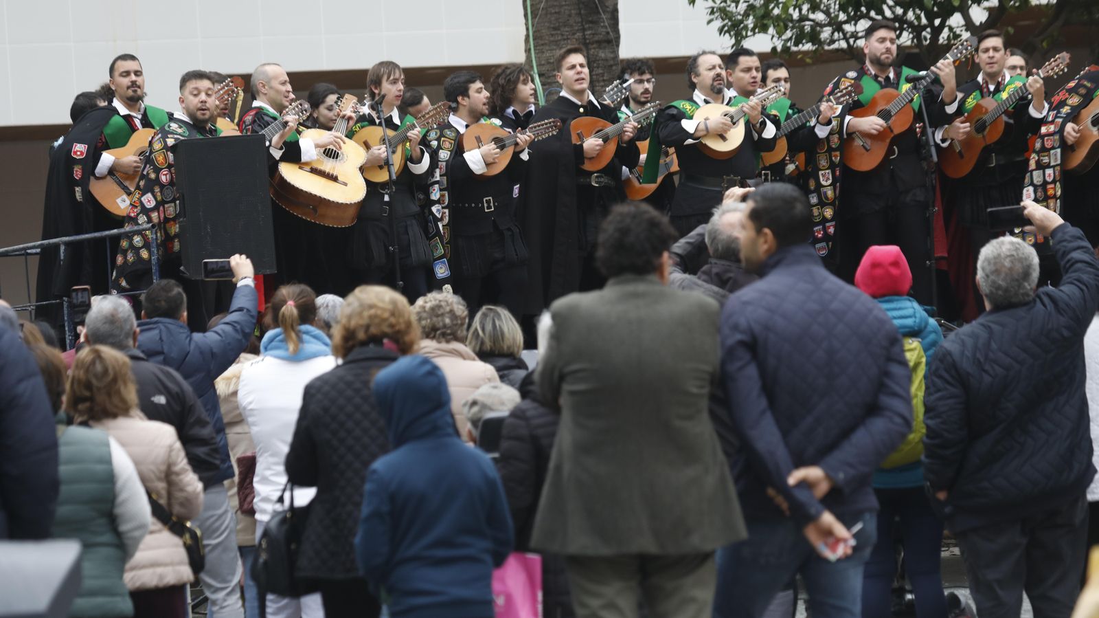 Las fotos del Pasacalles de Tunas en La Línea