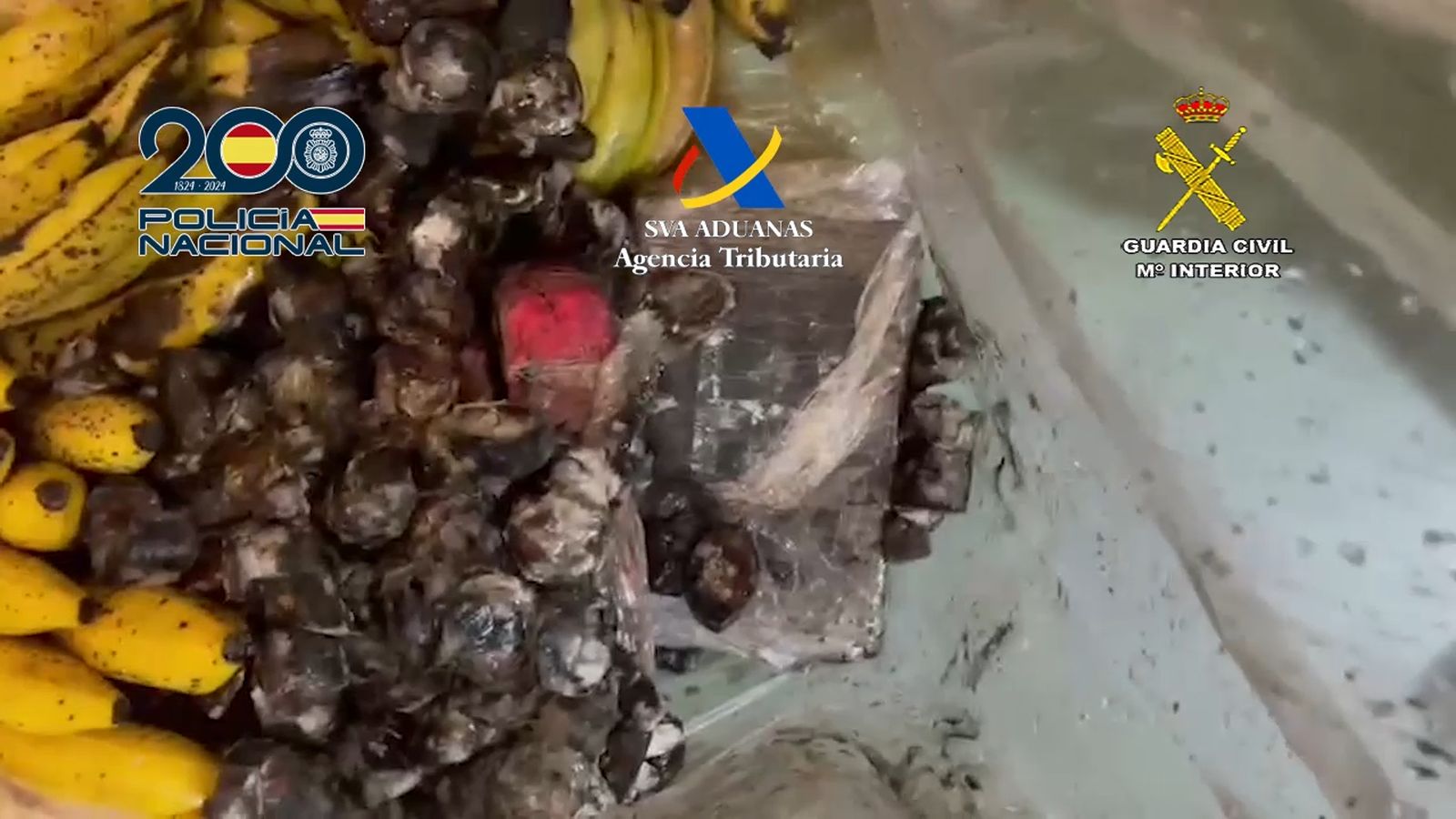 Detenido un funcionario de Aduanas en Málaga por facilitar la entrada de 1.822 kilos de cocaína en el puerto