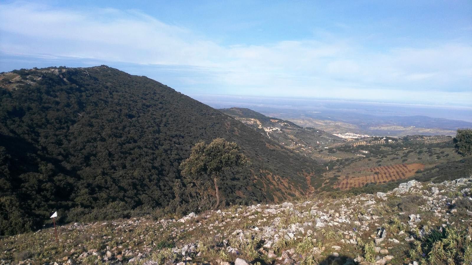 Panorámica de la Cuesta Negra, uno de los puntos destacados del itinerario.