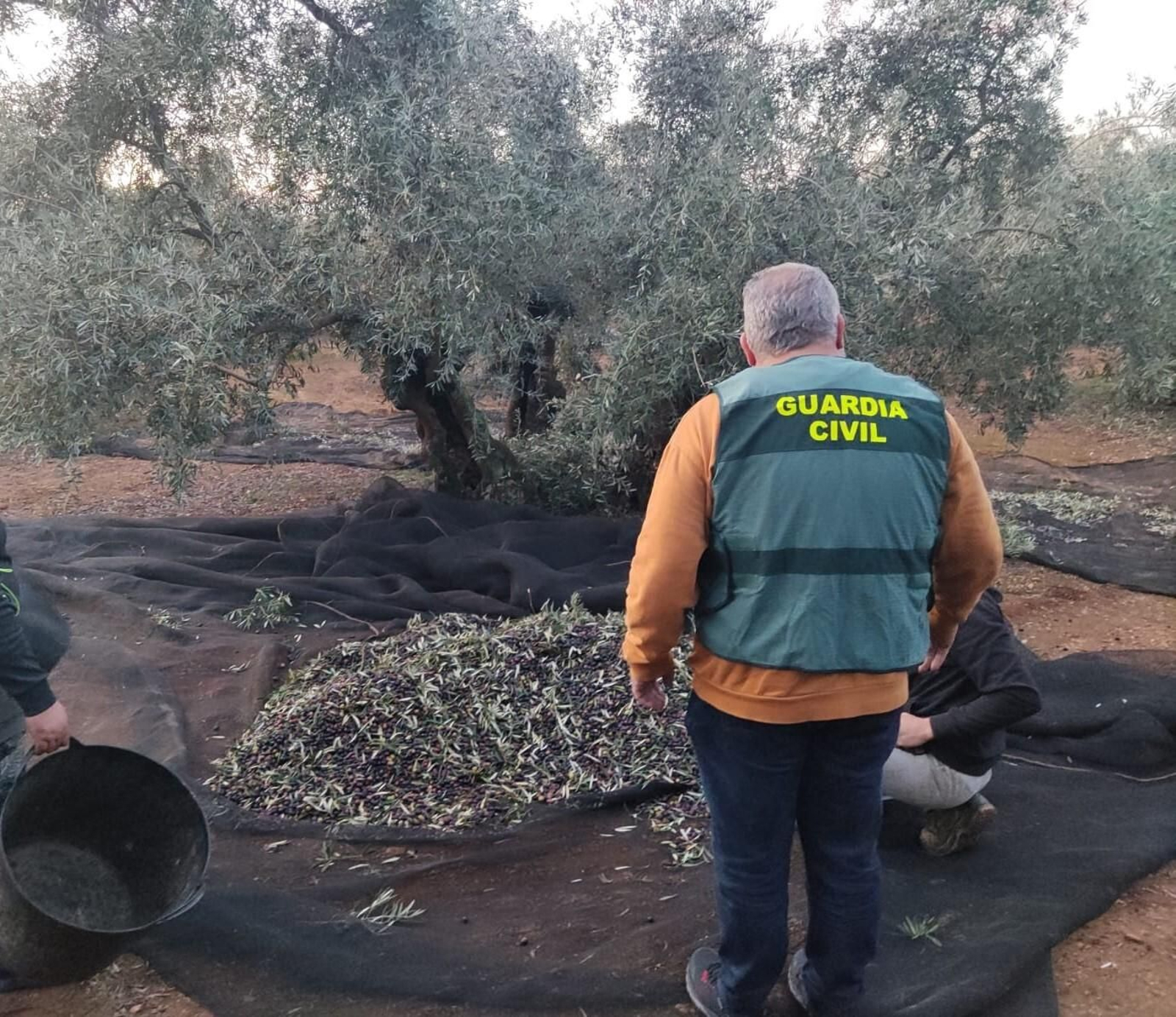 Un agente de la Guardia Civil durante su intervención.