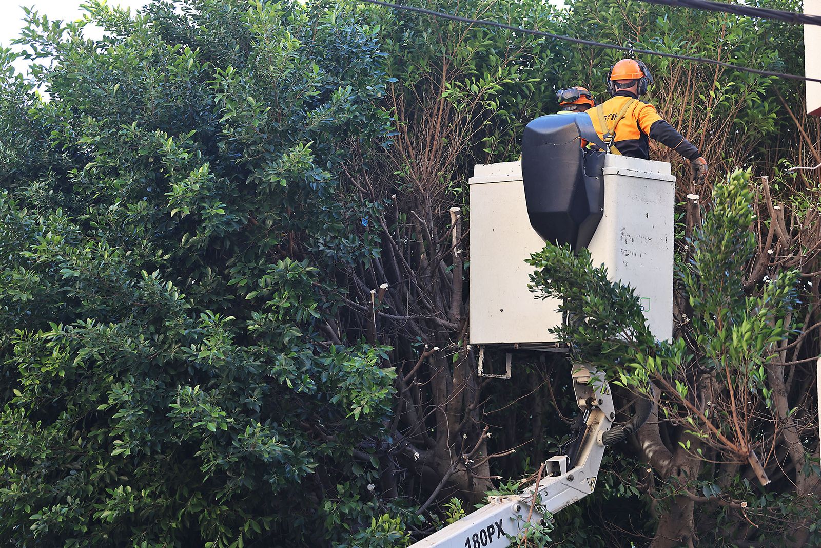 Las imágenes más destacadas del jueves 1 de febrero en Huelva