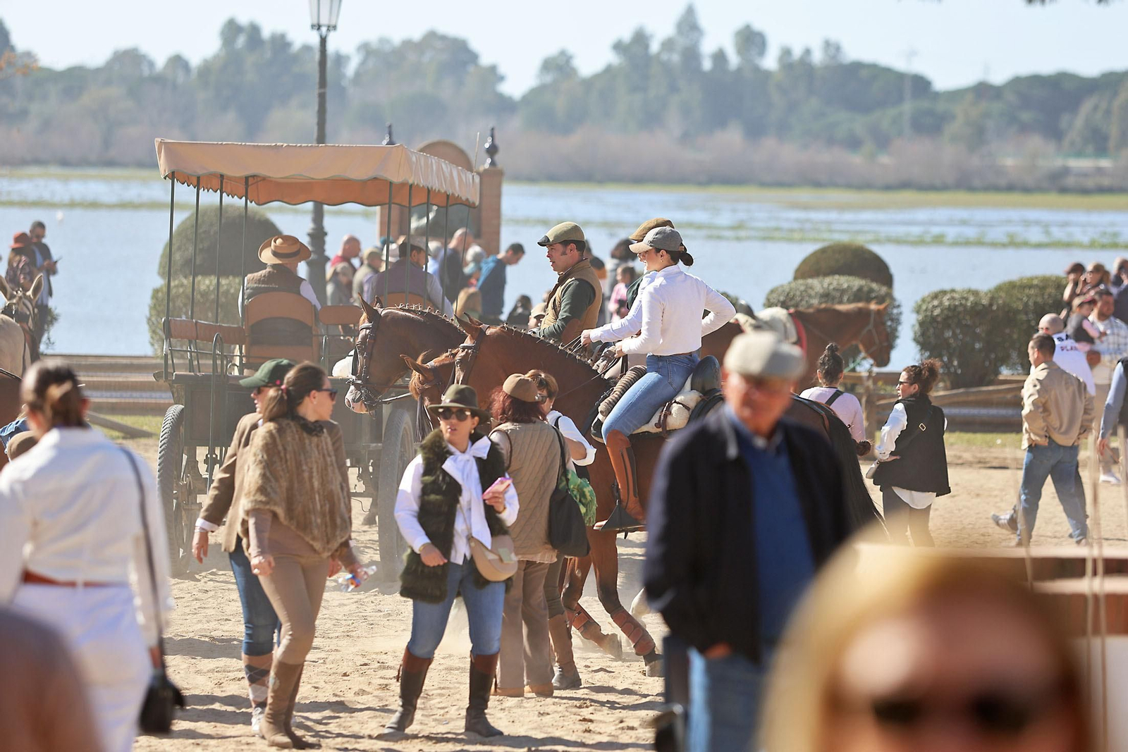 Imágenes del ambiente en la aldea del Rocío en la Candelaria 2024