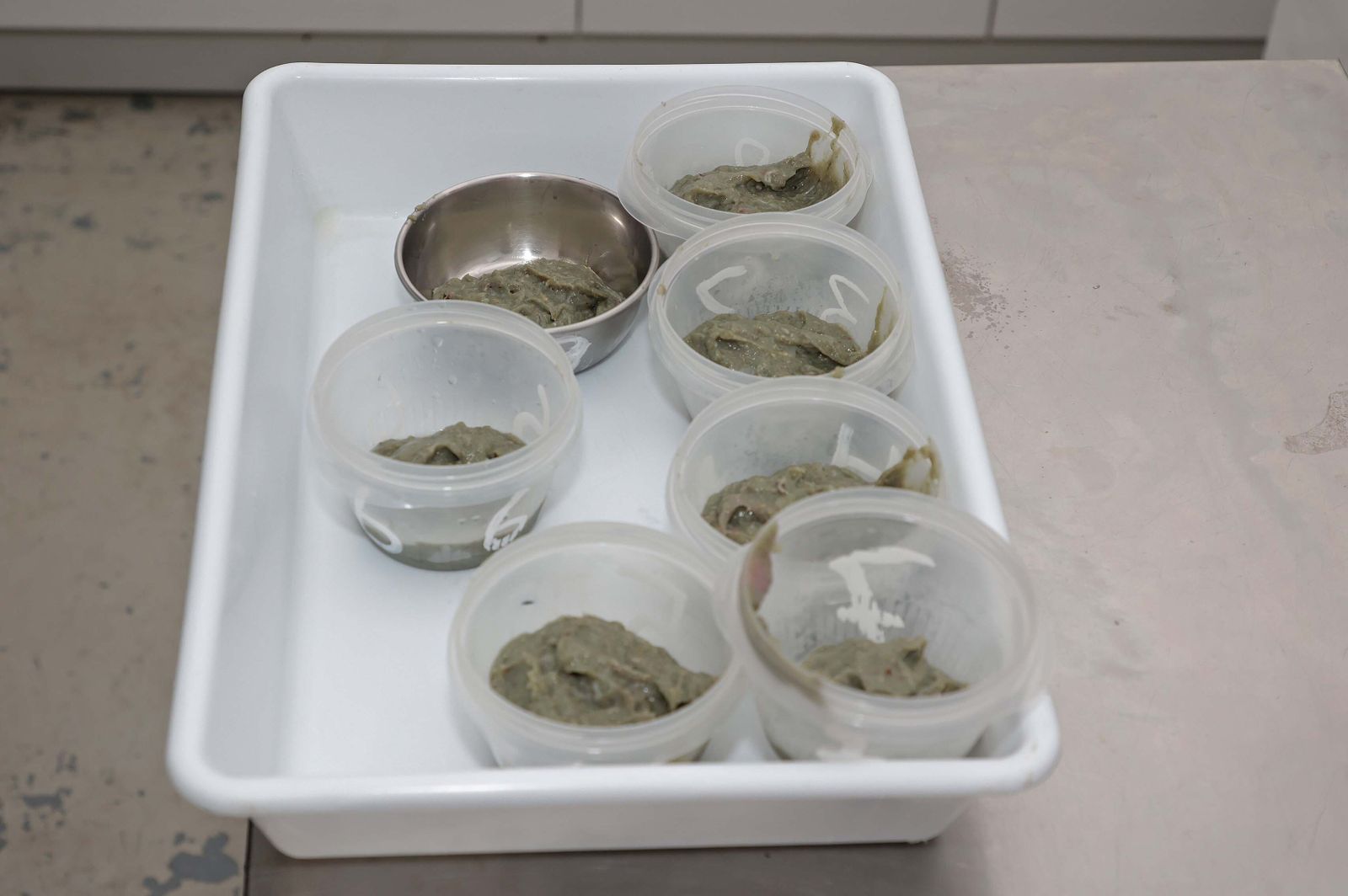 El Centro de Gestión del Medio Marino Andaluz (CEGMA) de Algeciras, en imágenes