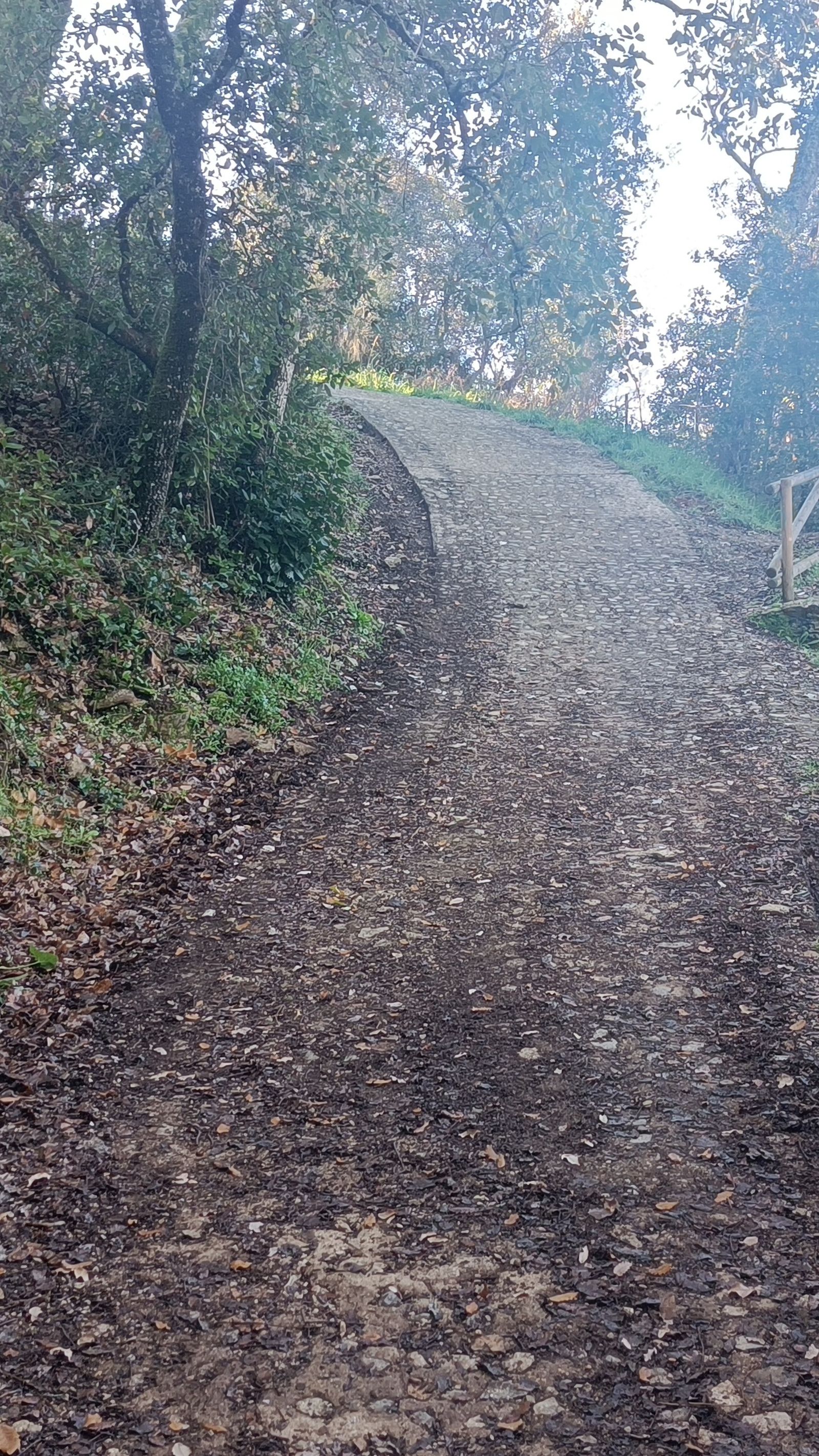La subida se acentúa antes de Castaño del Robledo.
