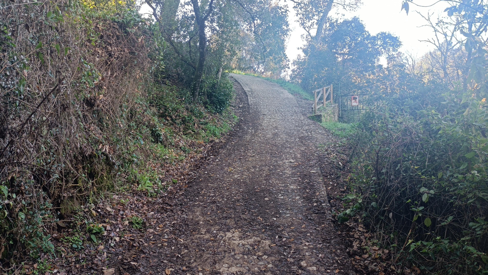 La subida se acentúa antes de Castaño del Robledo.