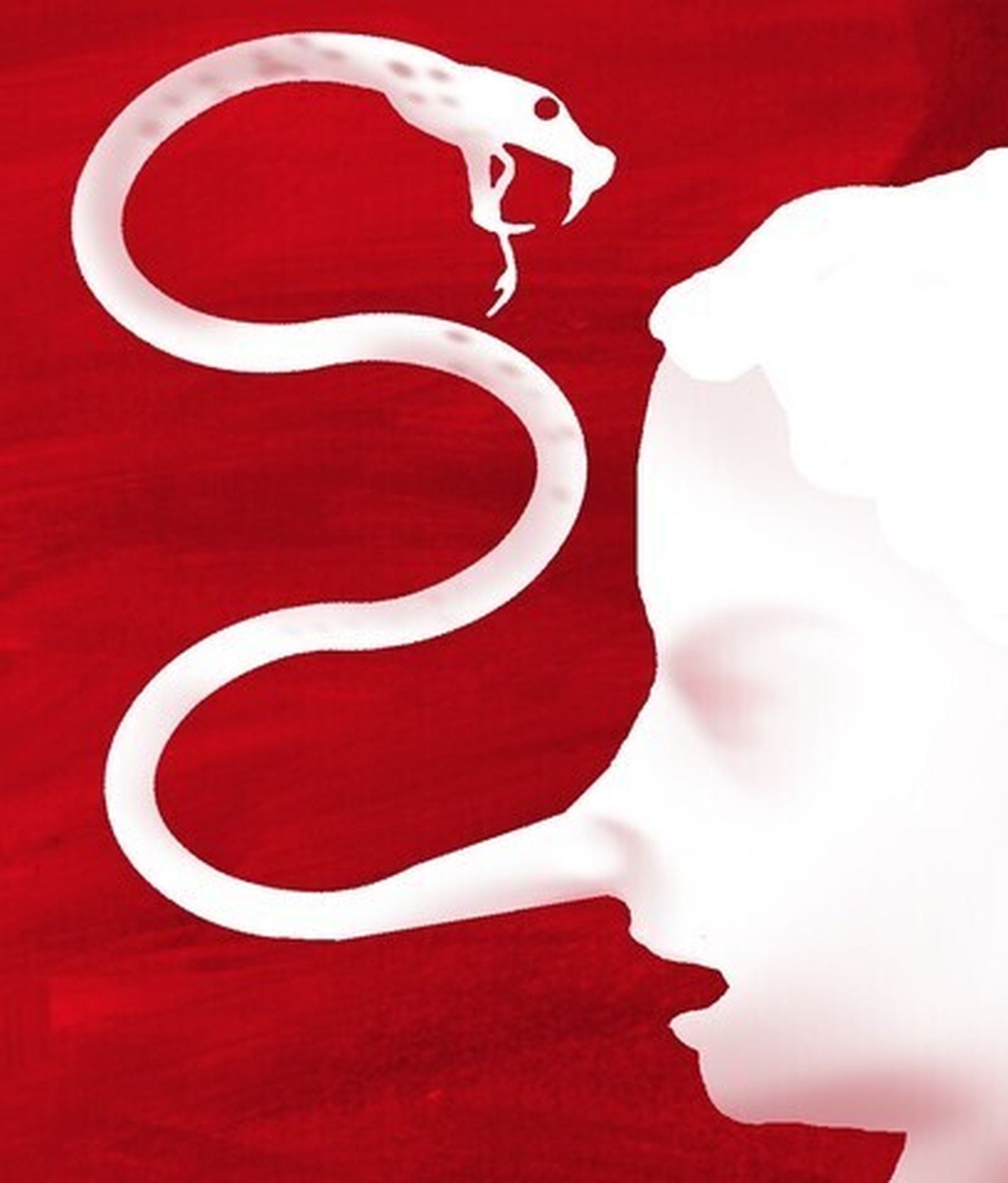 Los obstáculos a la verdad