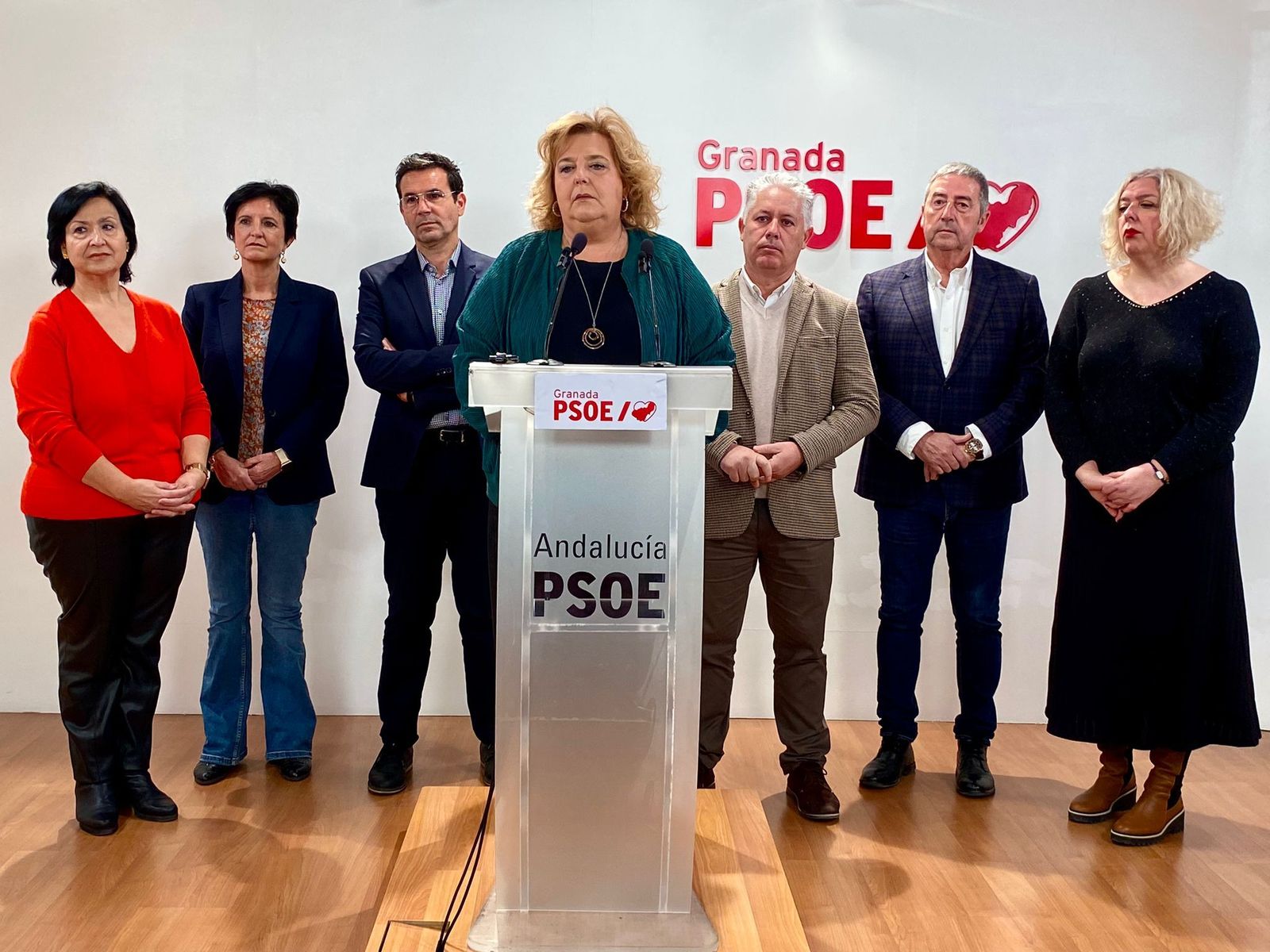 El grupo socialista en la Diputación de Granada