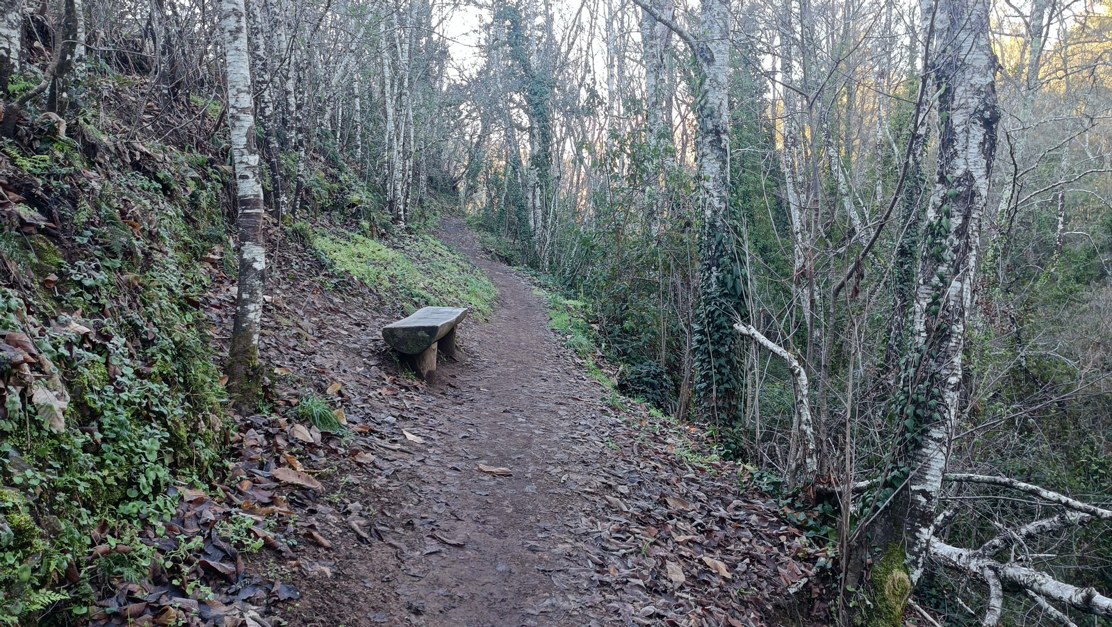 Un banco en el recorrido, ideal para descansar un poco.