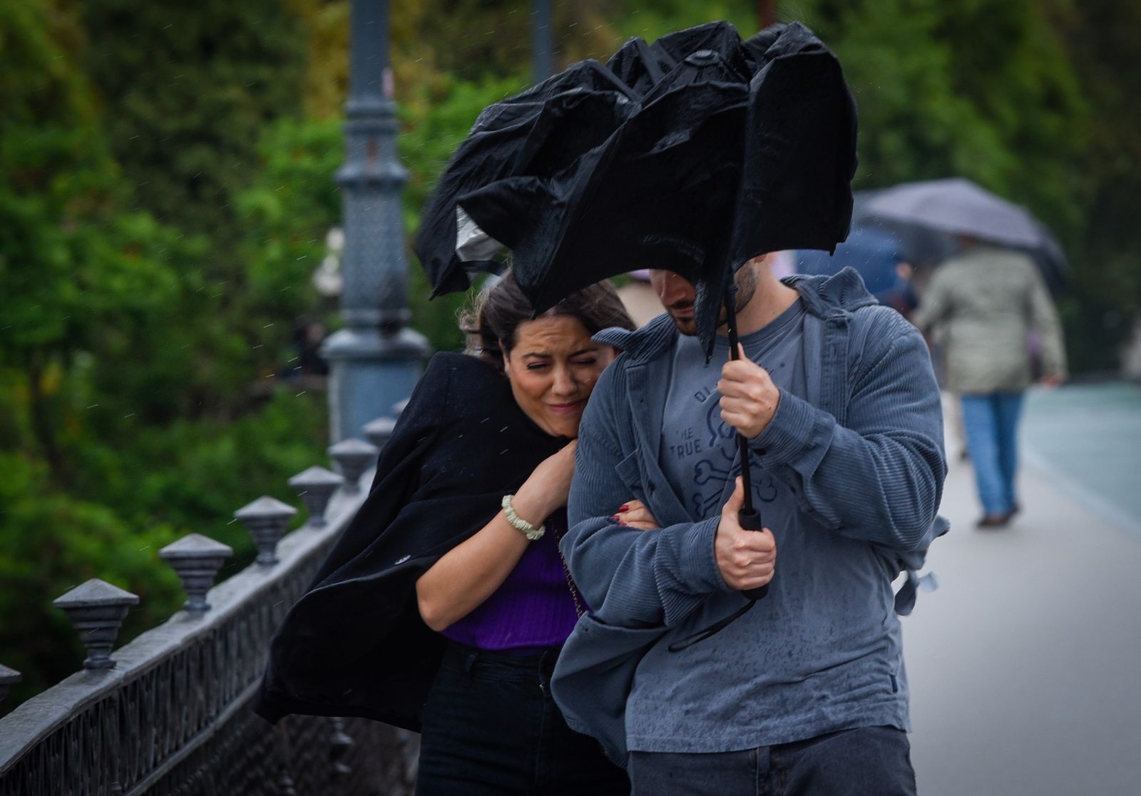 Imágenes del temporal de lluvia y viento en Sevilla