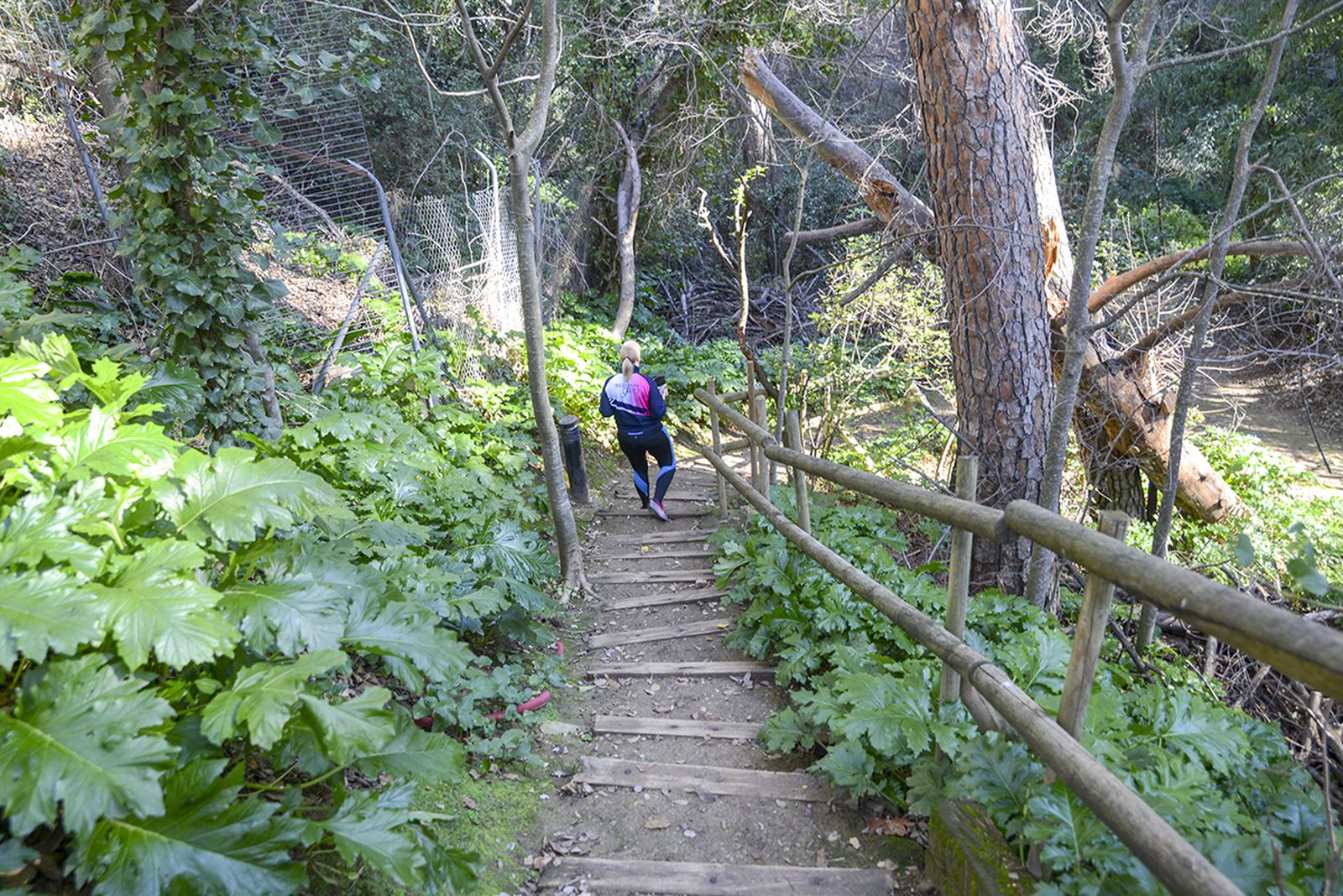 Junto a los jardines hay un acceso con escaleras de madera que te llevará a las aguas termales que todavía manan en Jabalcuz.