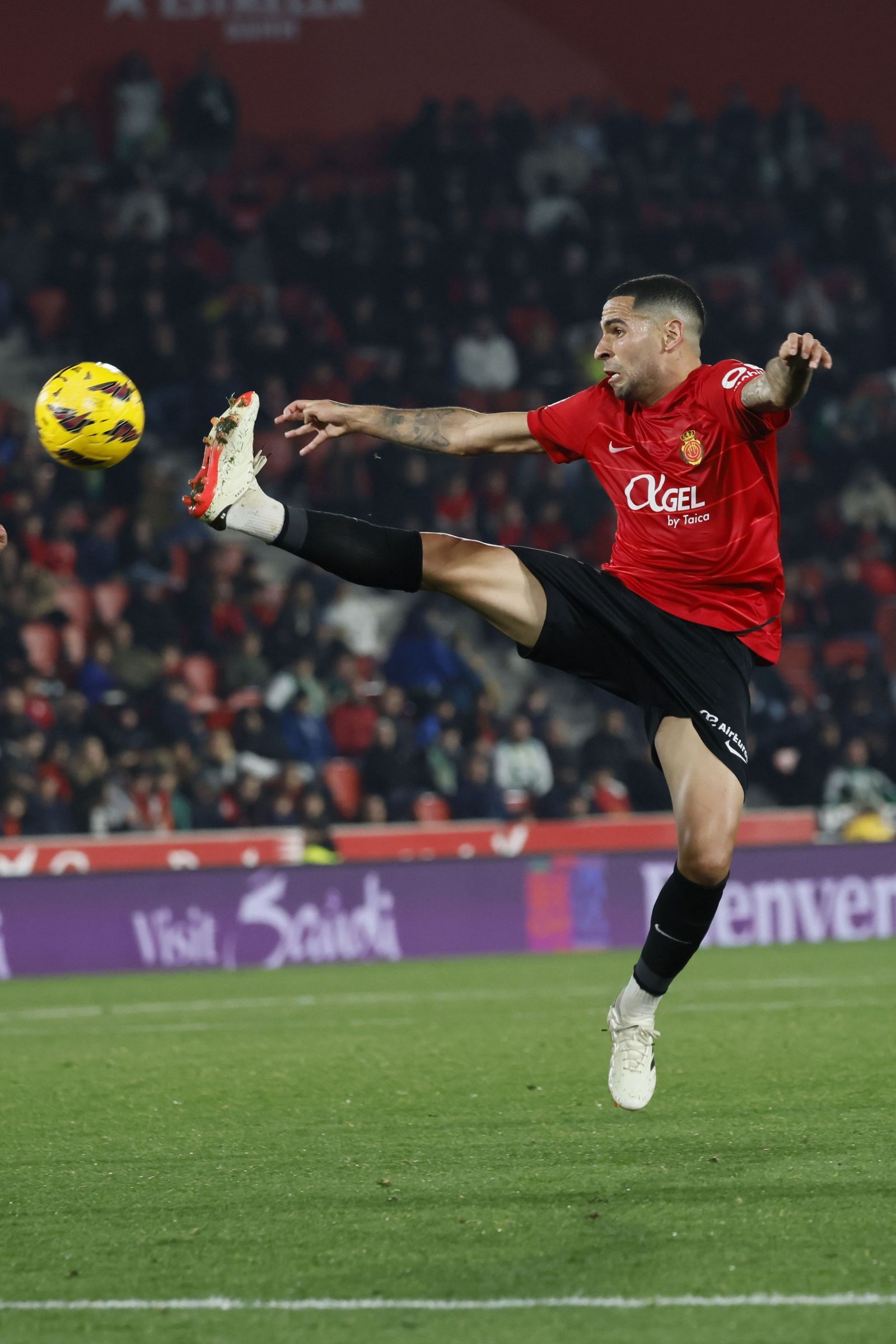 Las mejores fotos del Mallorca - Betis