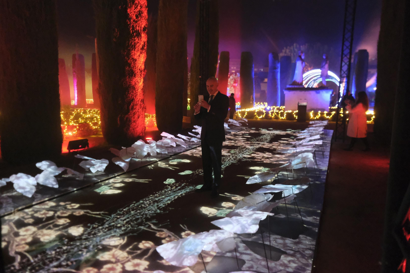 Espectáculo de luz y sonido del Alcázar de los Reyes Cristianos.