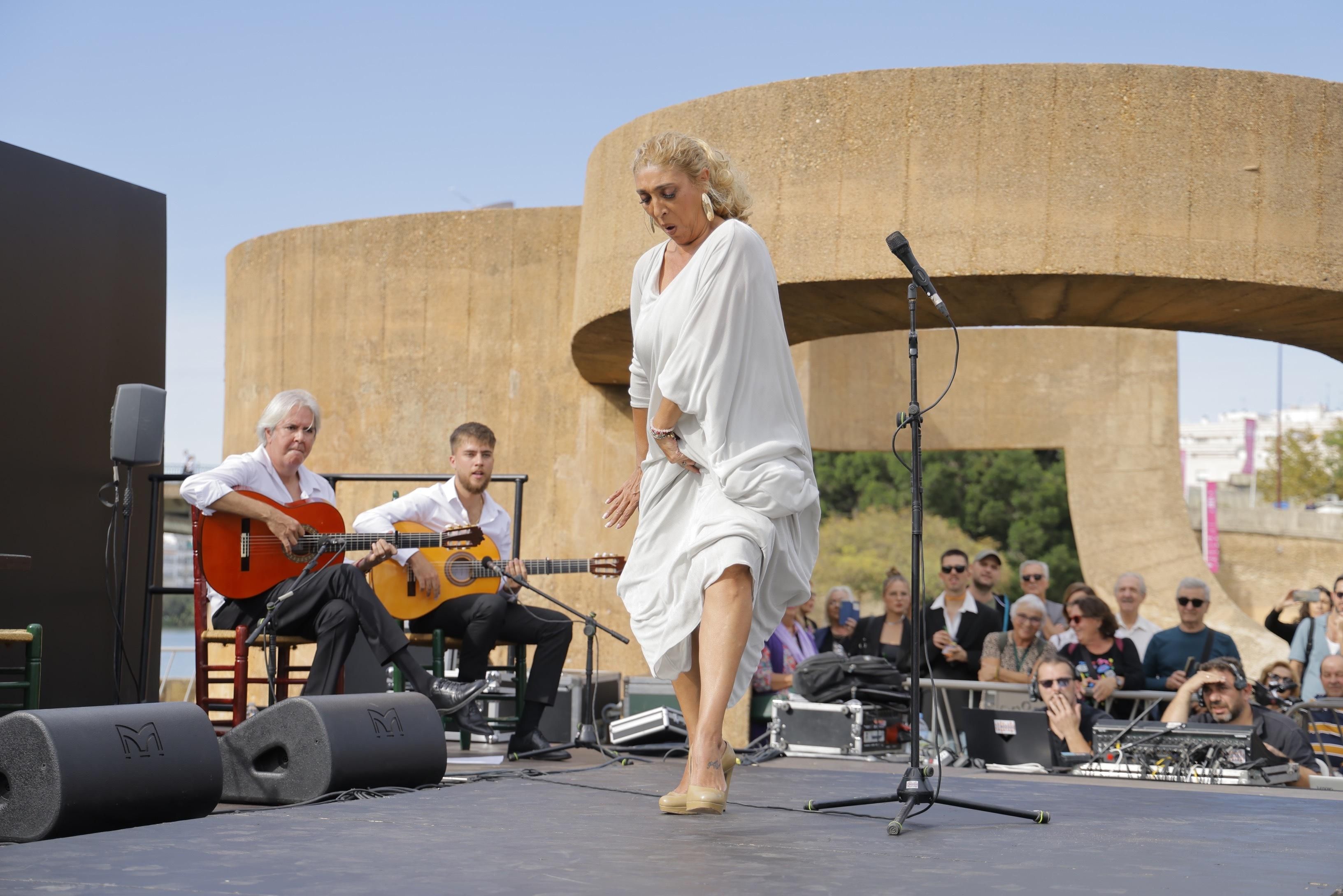 Día Mundial del Flamenco en Sevilla. Vídeo de Antonio Pizarro.