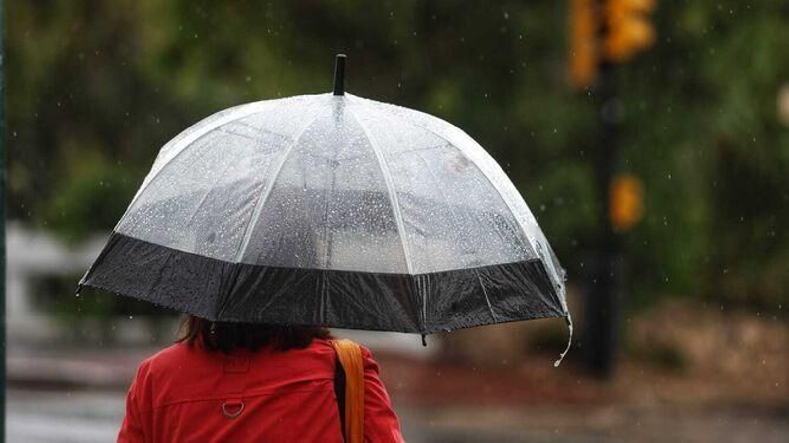 Una mujer protegiéndose de la lluvia con un paraguas