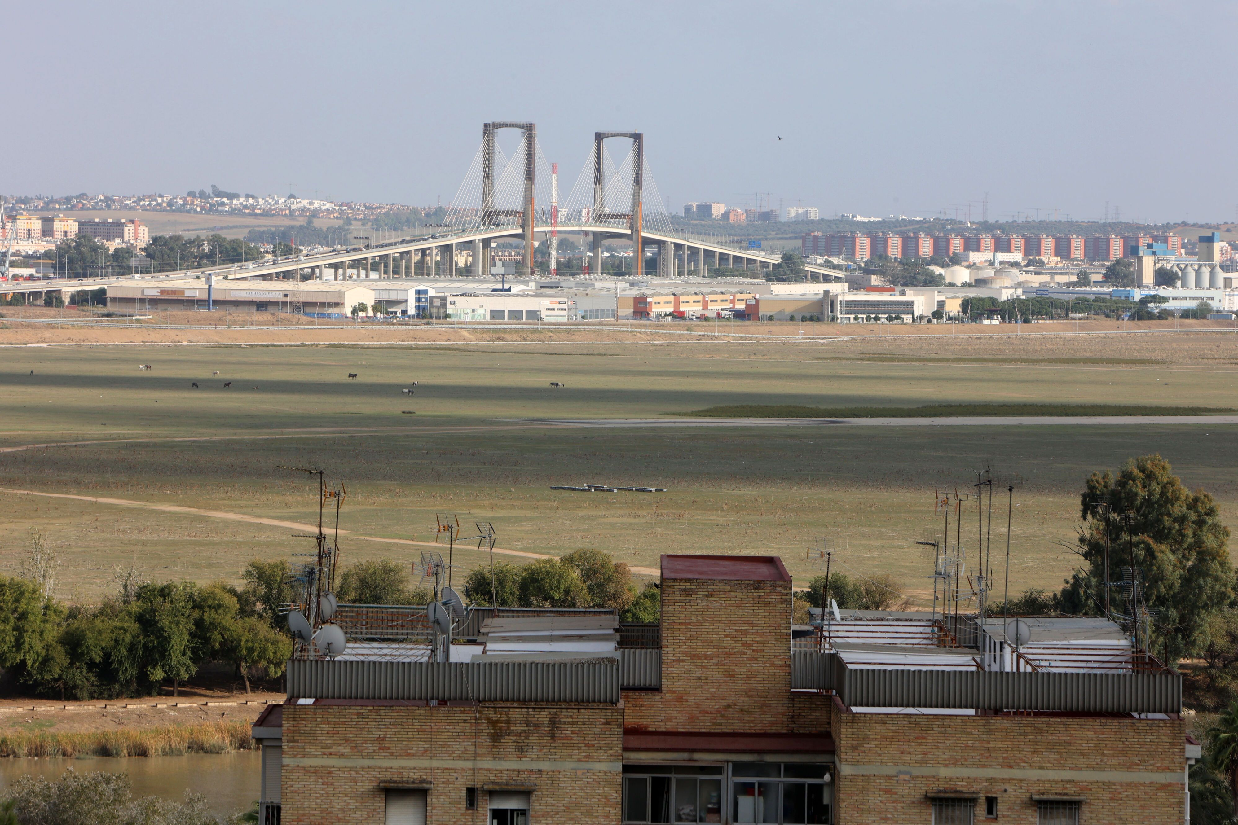 Los suelos de Tablada, con el puente del Centenario al fondo.