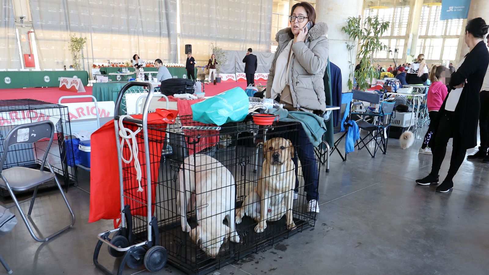 Imágenes de la 49ª edición de la Exposición Nacional Canina y la 25ª edición de la Exposición Internacional Canina en IFECA Jerez