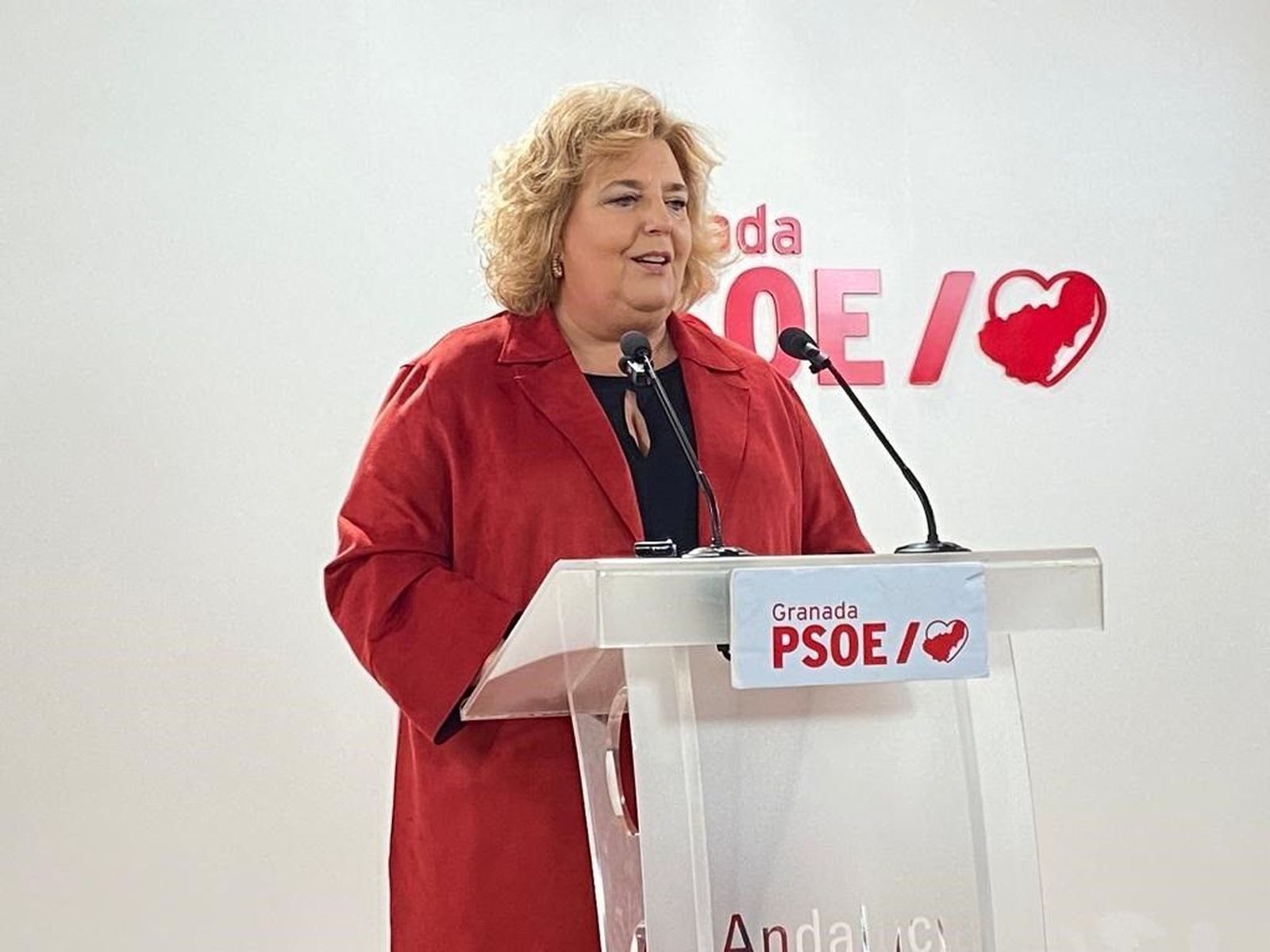 Portavoz del grupo socialista en la Diputación de Granada, Fátima Gómez