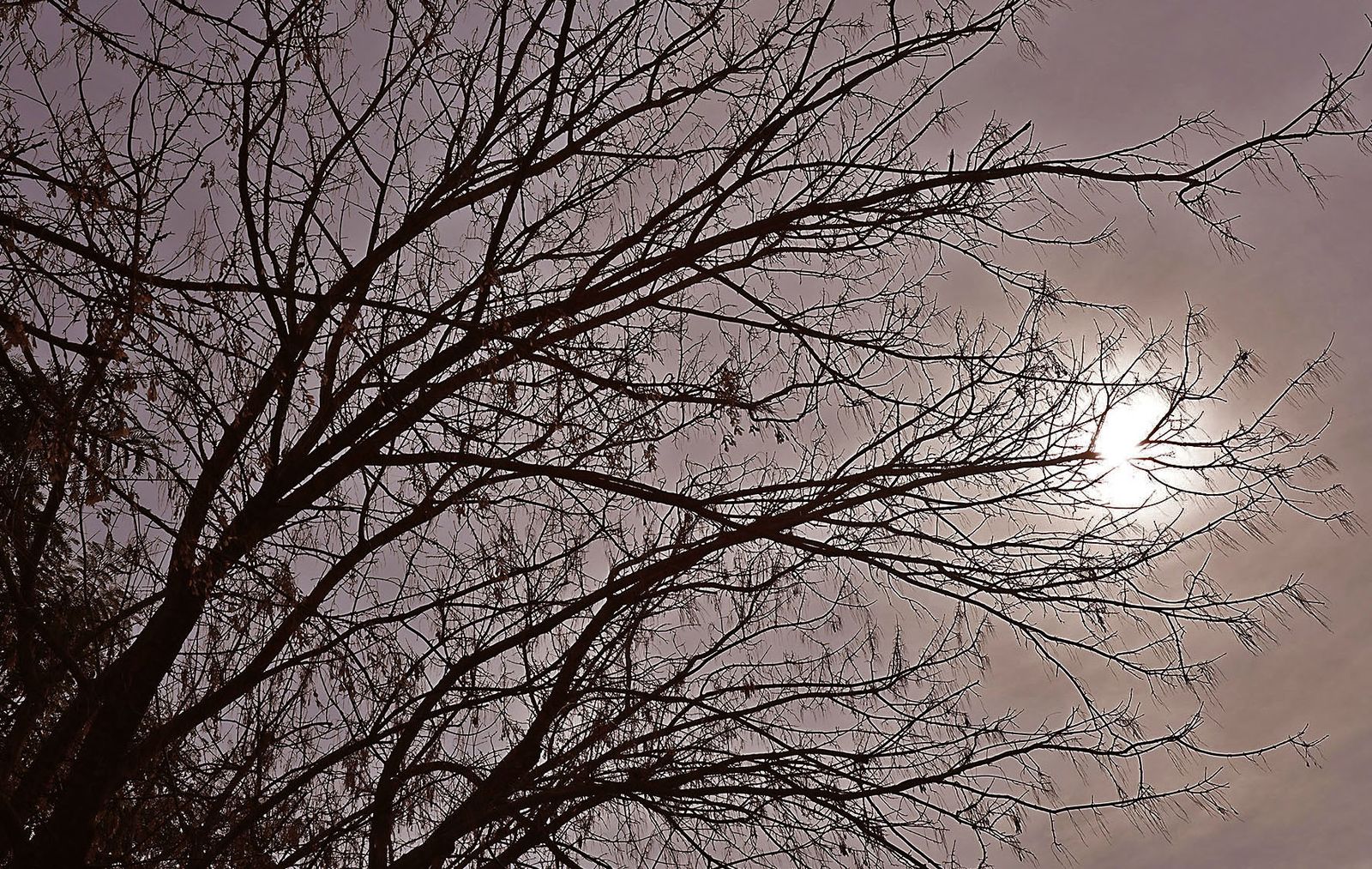 Las imágenes más destacadas del domingo 28 de enero en Huelva