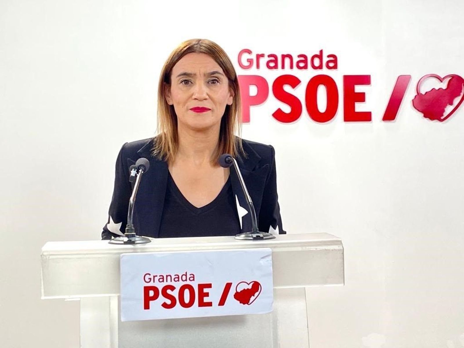 La parlamentaria andaluza del PSOE, Olga  Manzano