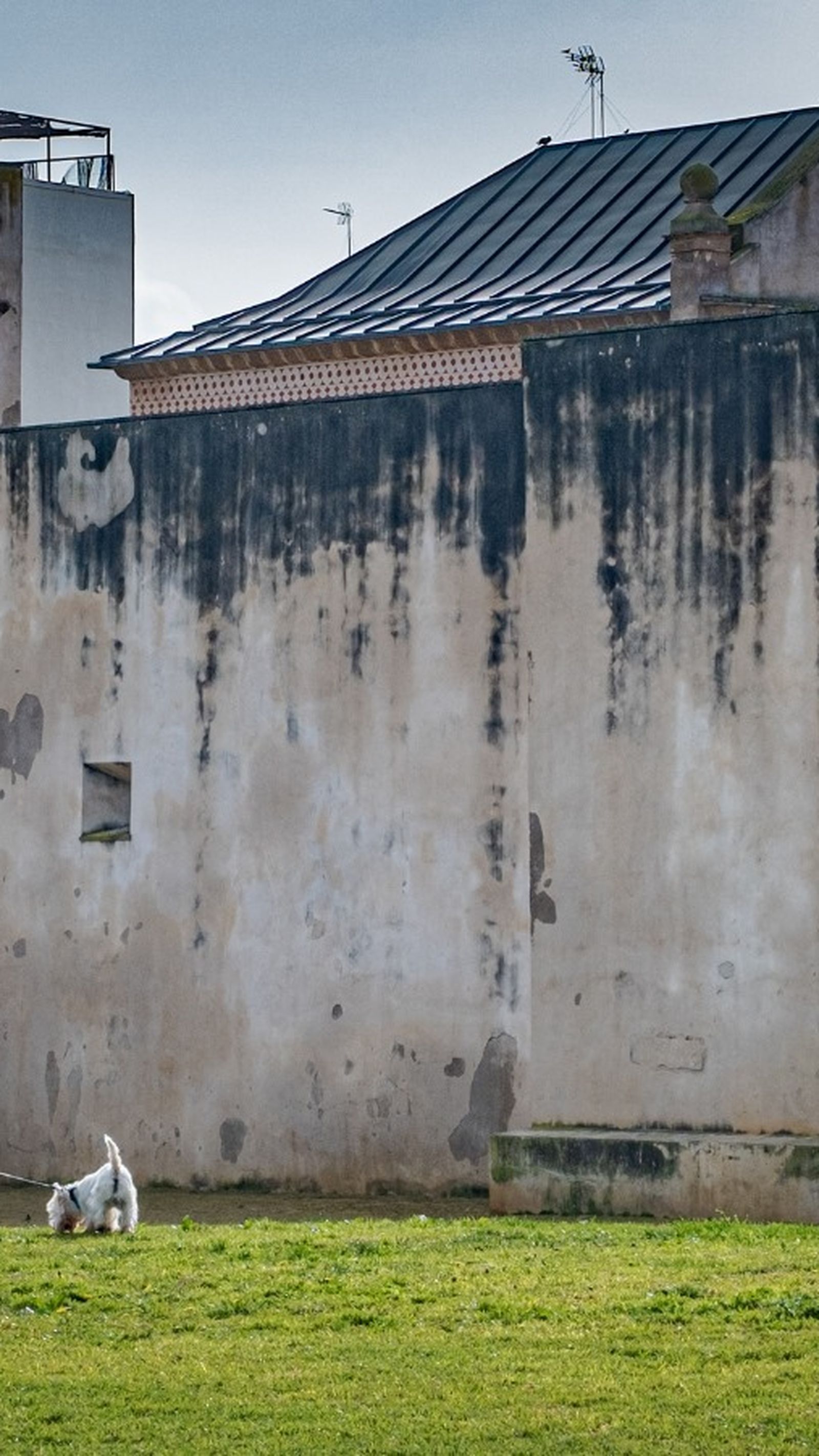 El pésimo estado que presenta el Castillo de San Romualdo, que abrió sus puertas hace tan solo 7 años después de su rehabilitación.