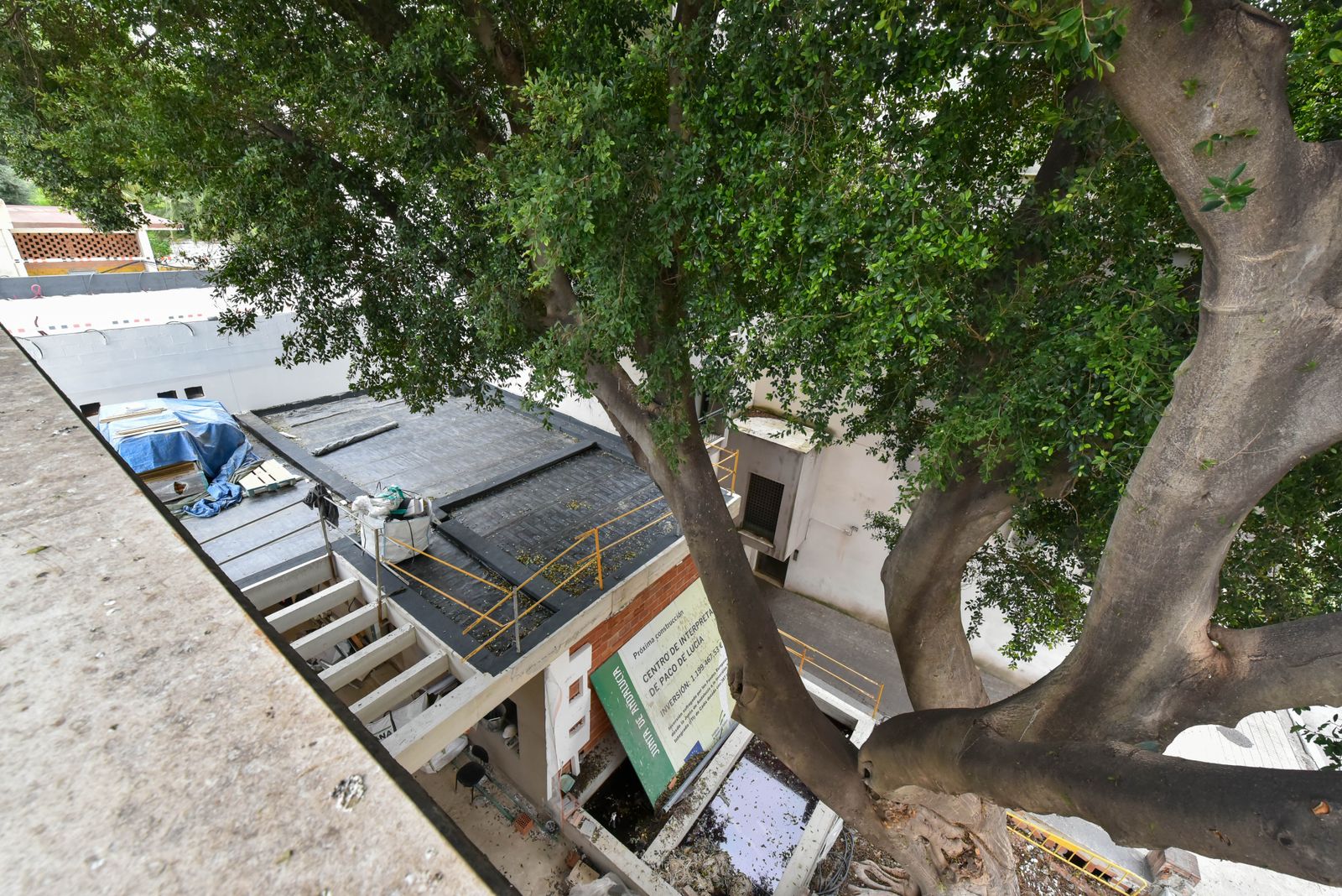 Las obras del centro Paco de Lucía , en imagenes