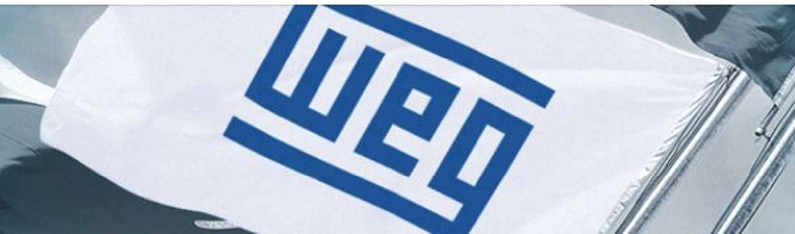 Logo de Weg.