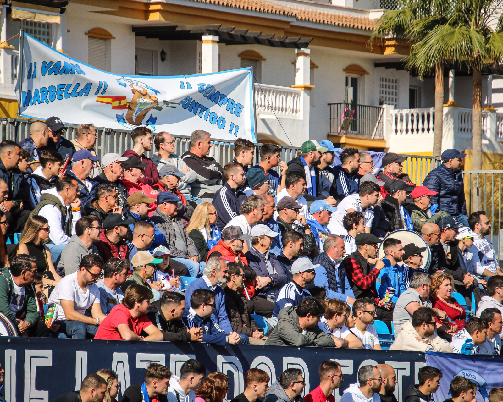 Imagen de la Dama de Noche de Marbella.