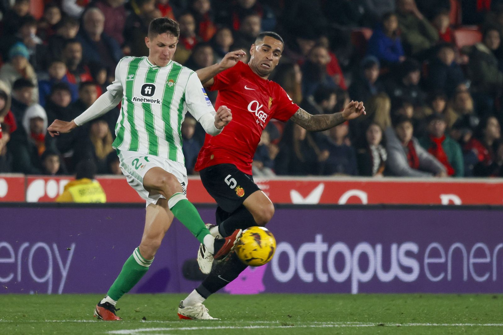 Las mejores fotos del Mallorca - Betis