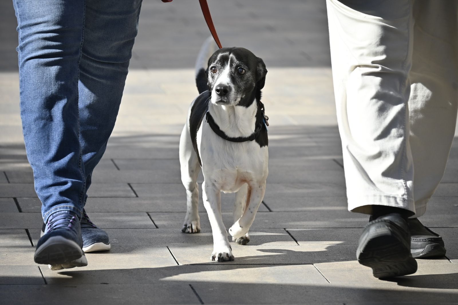 Las imágenes más destacadas del miércoles 31 de enero en Huelva