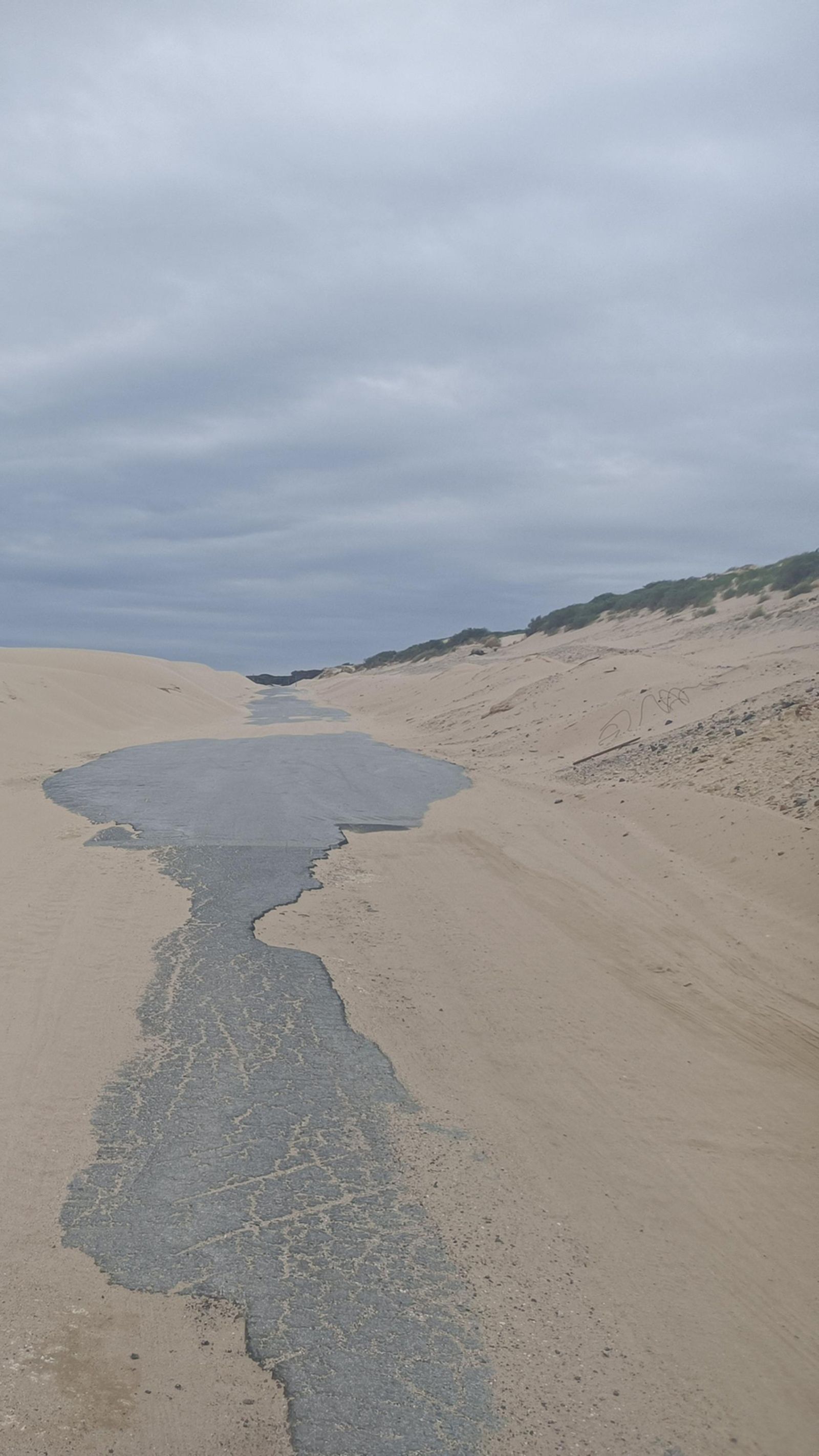 La carretera que sube por la duna de Valdevaqueros.