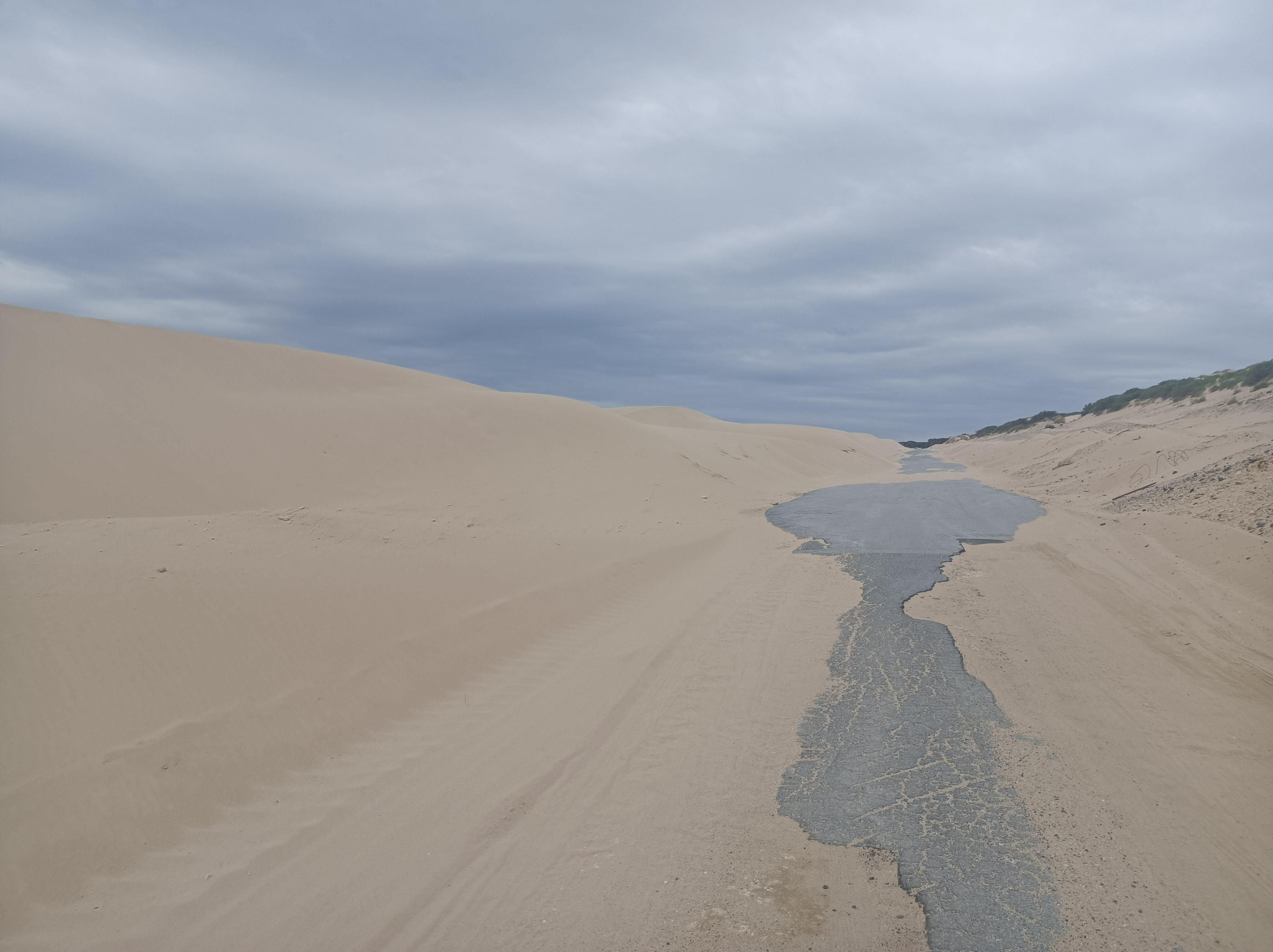 La carretera que sube por la duna de Valdevaqueros.