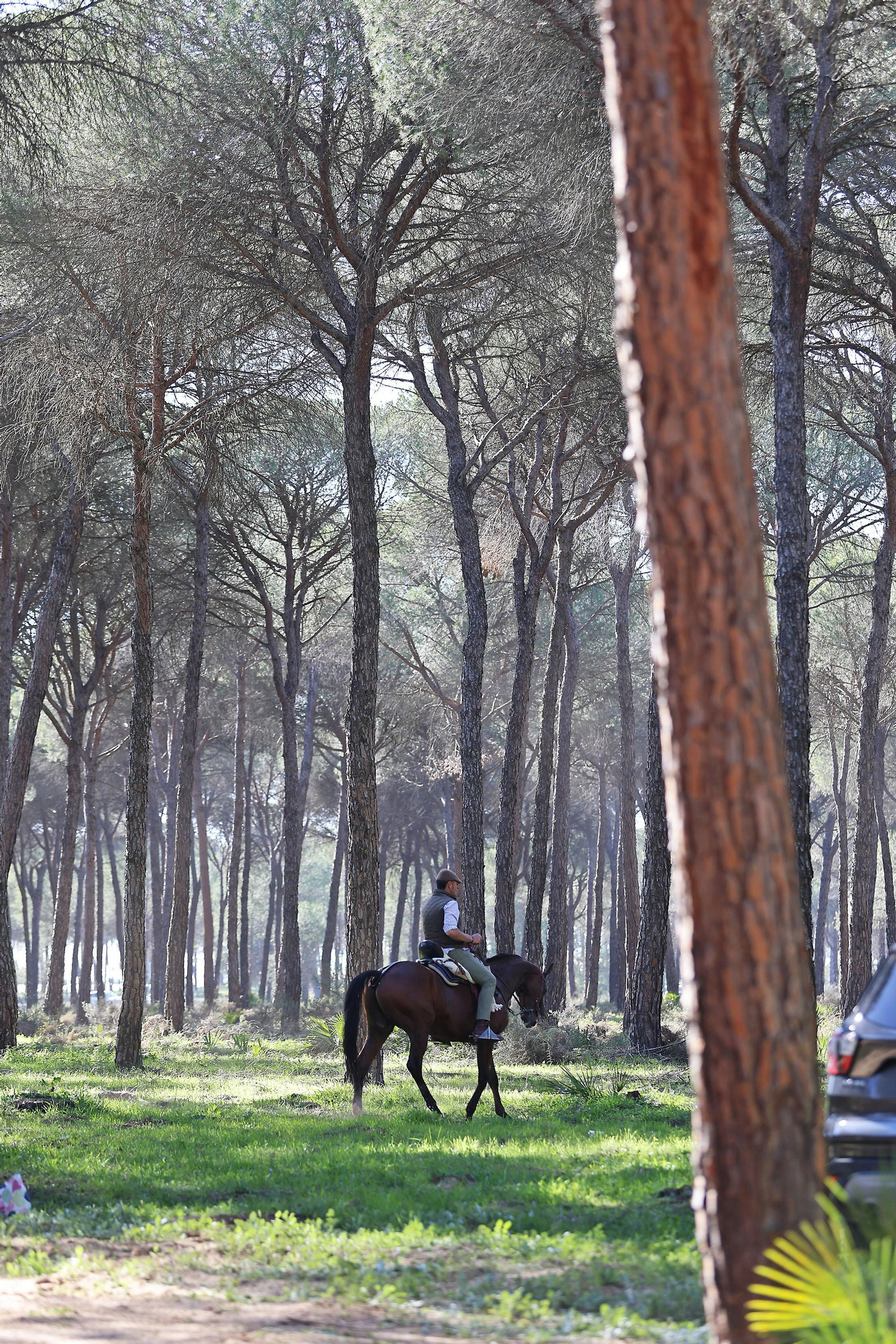 Candelaria 2024: Imágenes de la multitudinaria convivencia en el Pastorcito